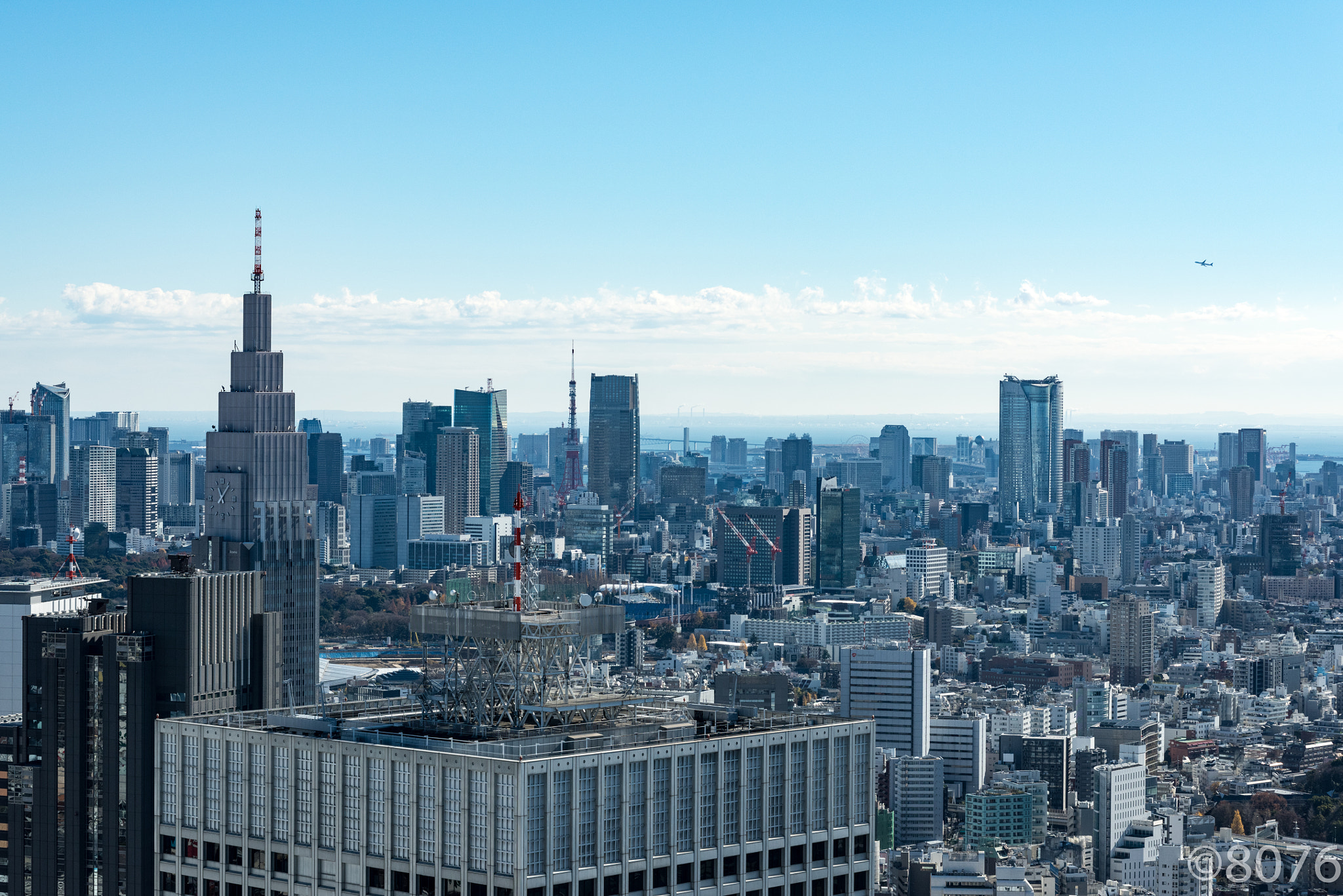 Nikon D810 + AF Zoom-Nikkor 80-200mm f/2.8 ED sample photo. Cityscape from tokyo metropolitan government building(tokyo-tocho) photography