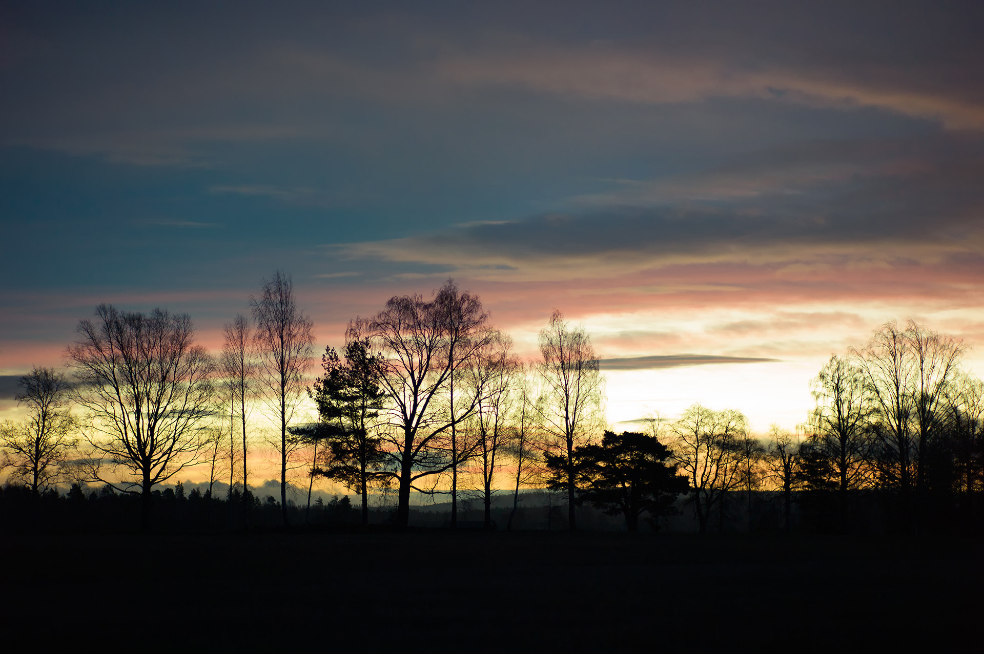 Leica M9 + Leica Summicron-M 90mm f/2 (II) sample photo. The last morning of 2016 photography