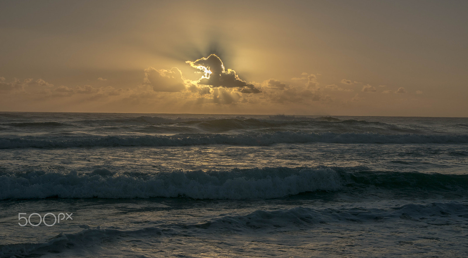 Sigma 17-70mm F2.8-4 DC Macro OS HSM sample photo. Inspired by the ocean i photography