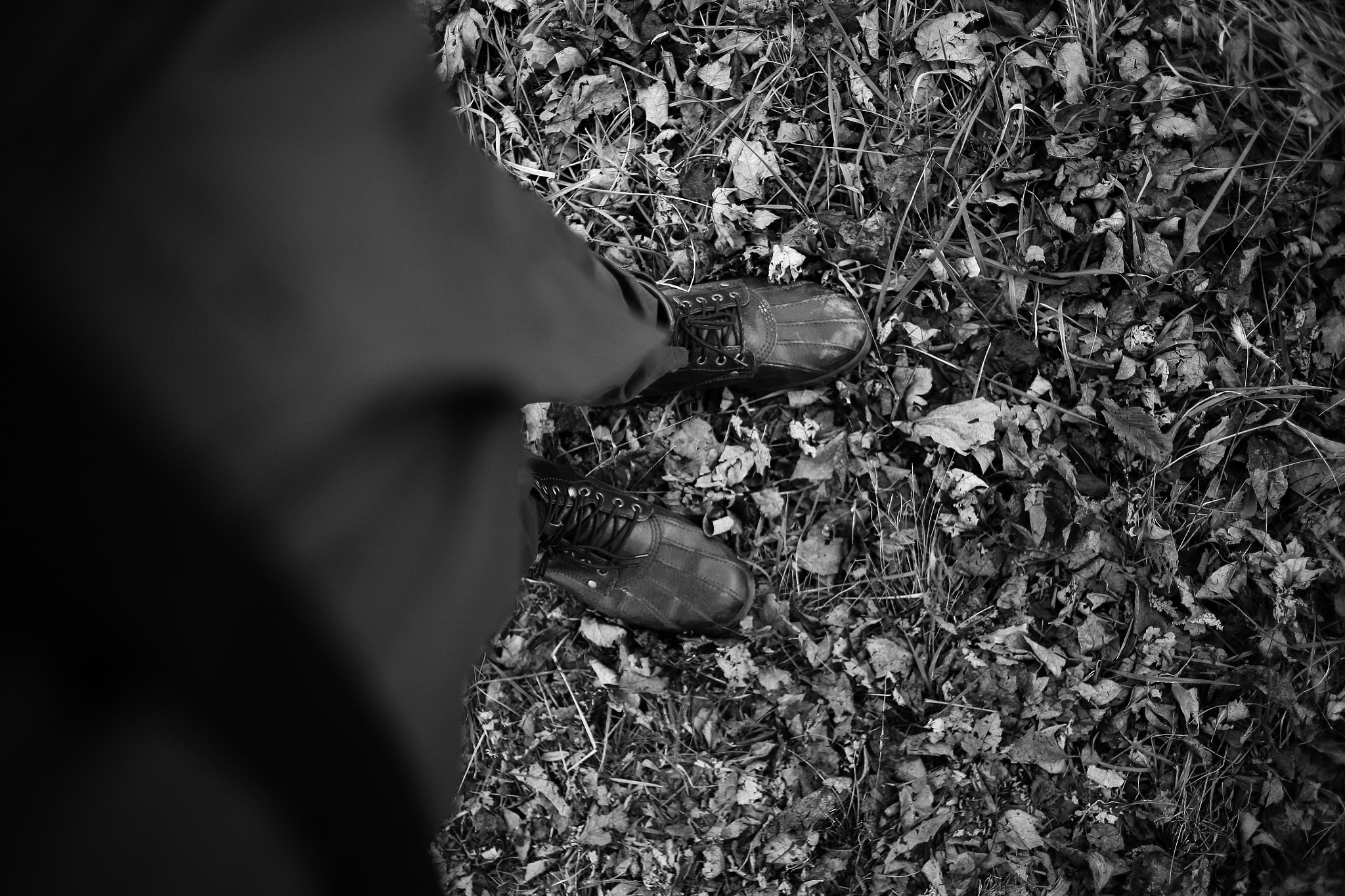 Canon EOS 5D + Canon EF 35mm F2 sample photo. In the woods photography