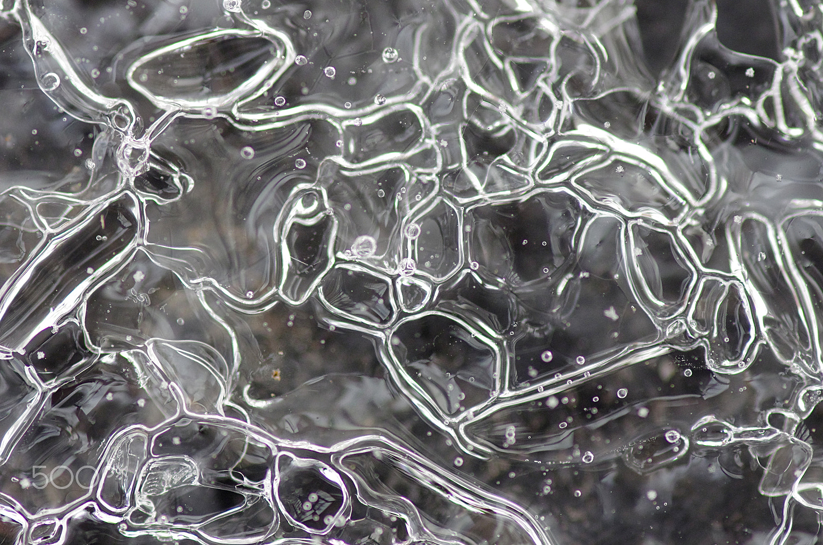 Pentax smc D-FA 100mm F2.8 Macro WR sample photo. Frozen rain photography