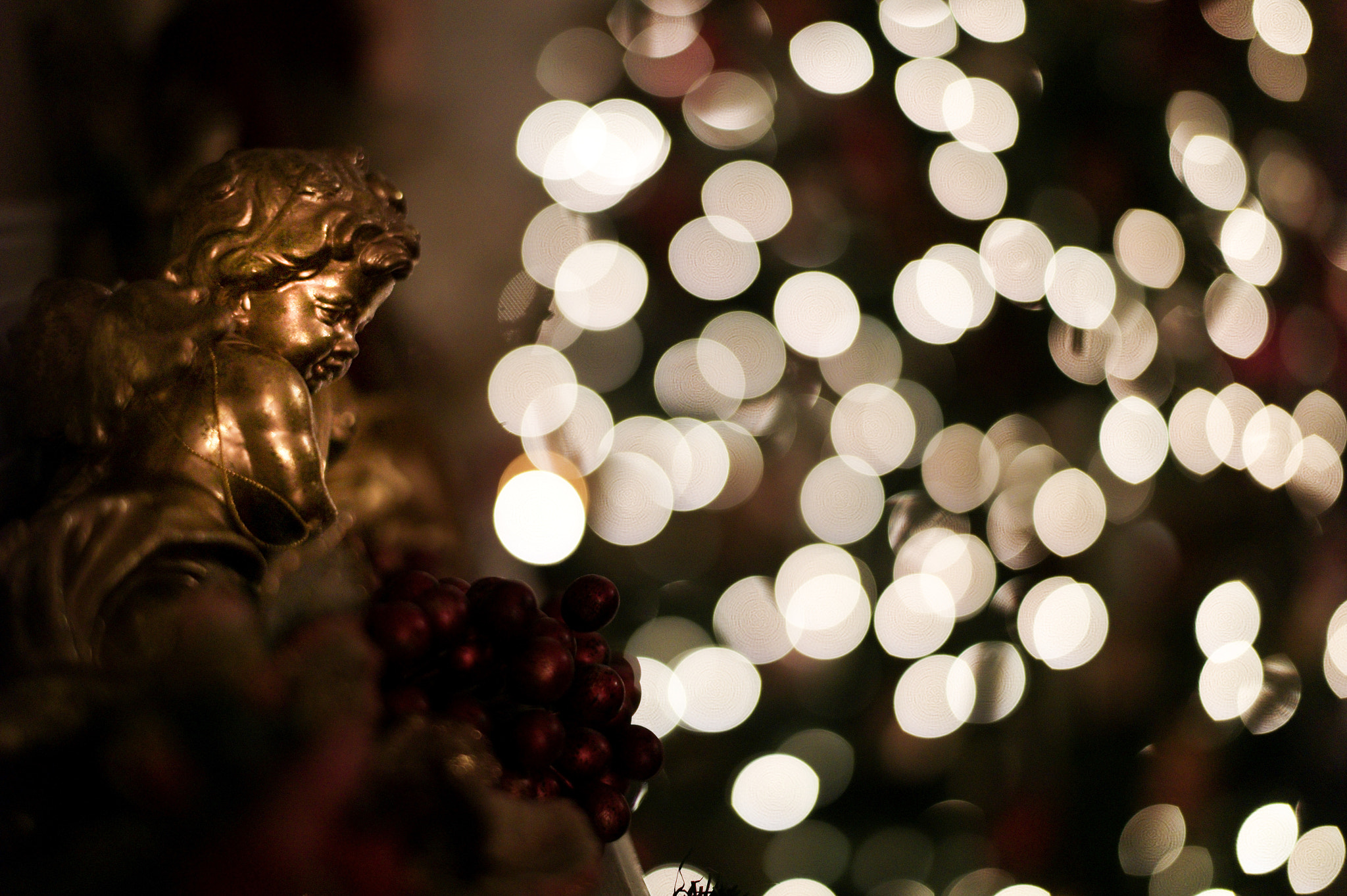 Leica M9 + Leica Summilux-M 50mm F1.4 ASPH sample photo. Angelica photography