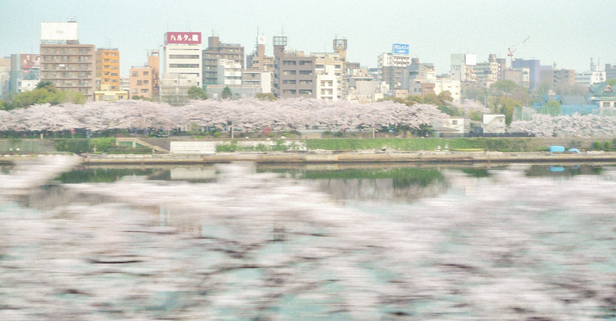 Panasonic DMC-FX500 sample photo. Sumida river photography