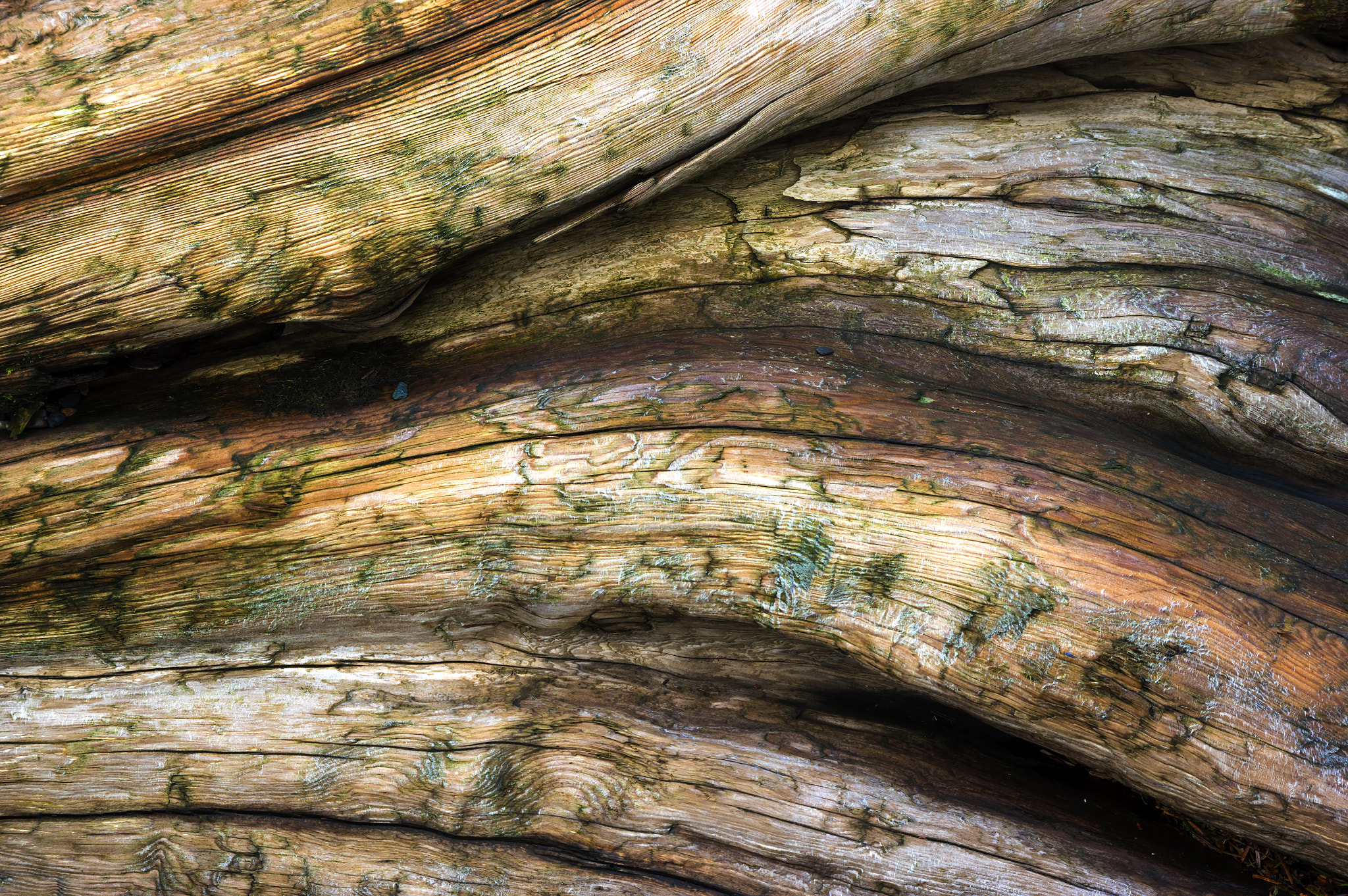 Pentax smc DA 55-300mm F4.0-5.8 ED sample photo. Driftwood art photography