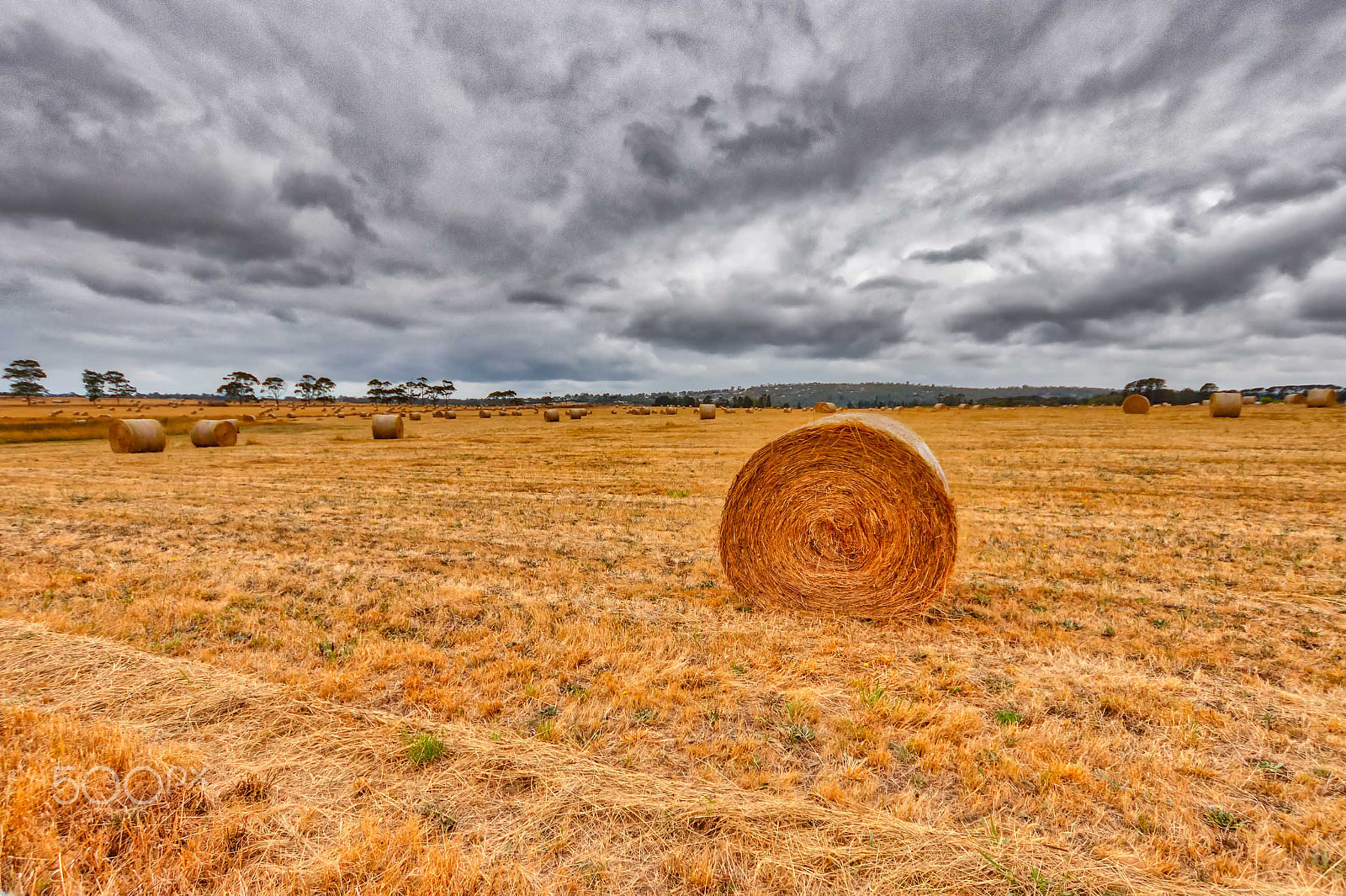 Canon EOS 80D + Sigma 10-20mm F4-5.6 EX DC HSM sample photo. Hay photography