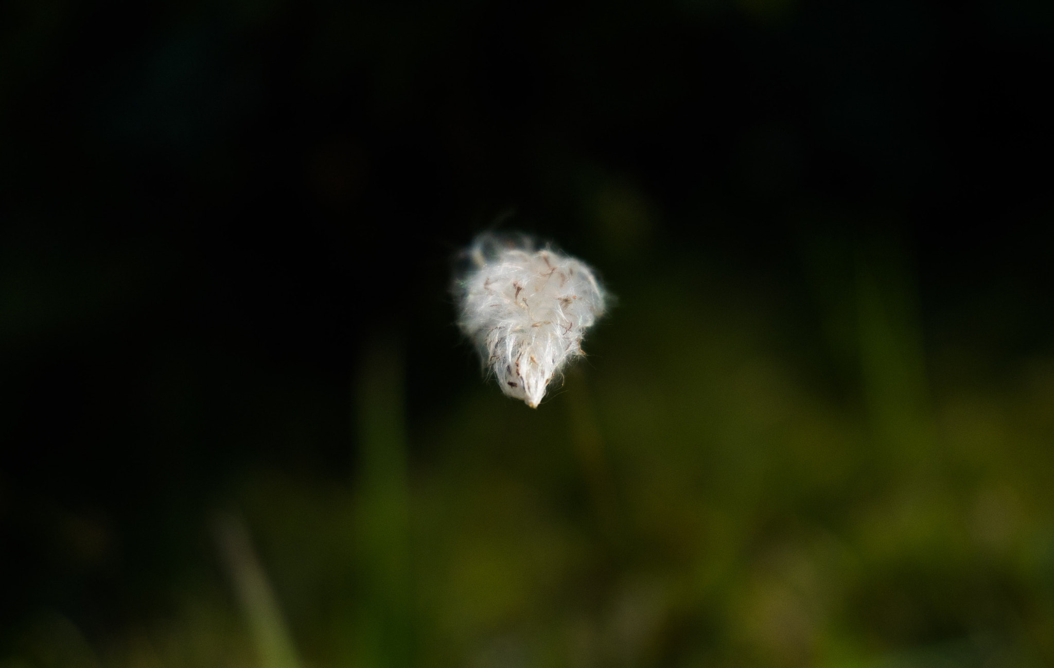 Sony E 16-50mm F3.5-5.6 PZ OSS sample photo