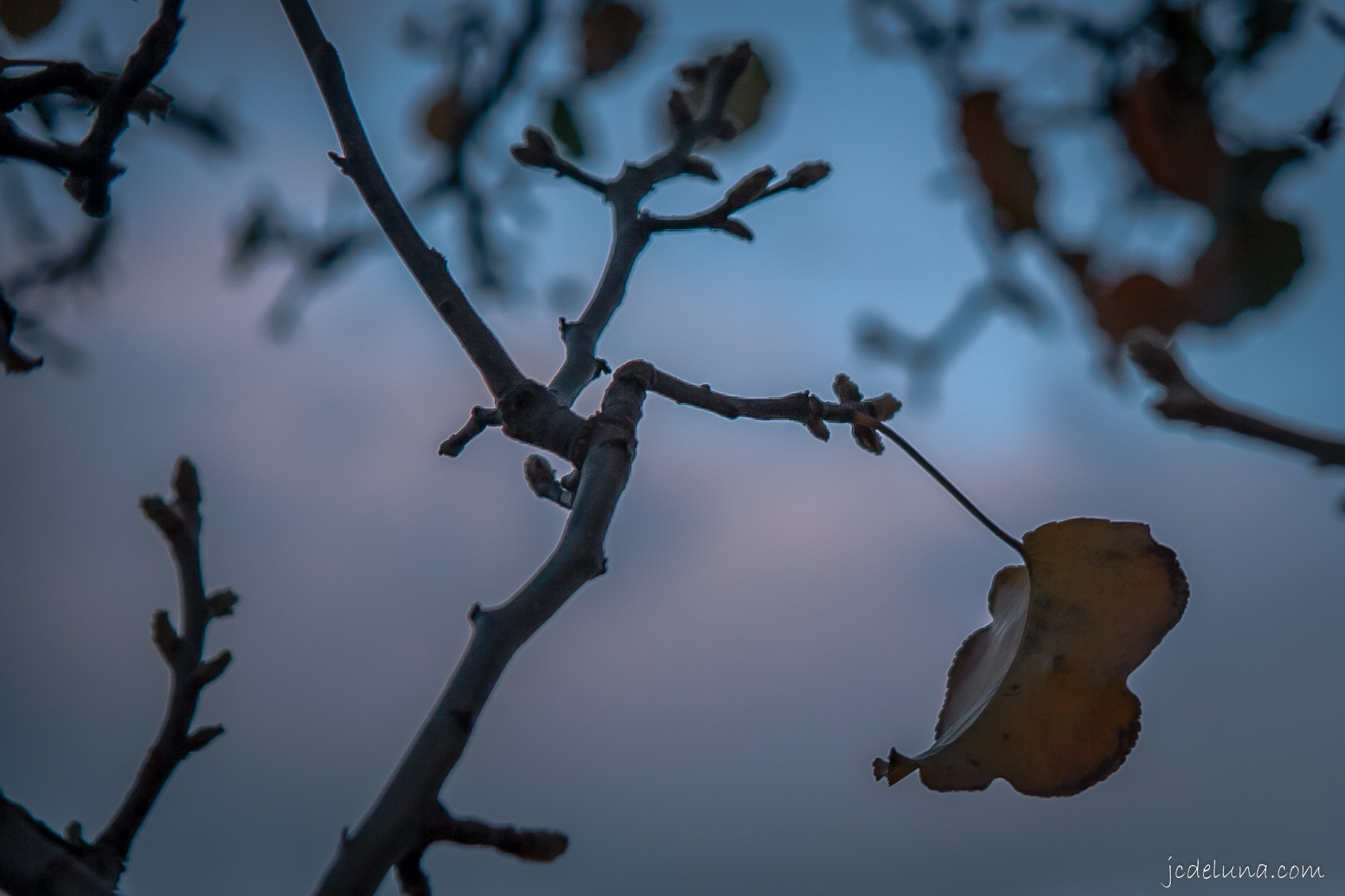 Canon EF 24-85mm F3.5-4.5 USM sample photo. First sunset of 2017 photography