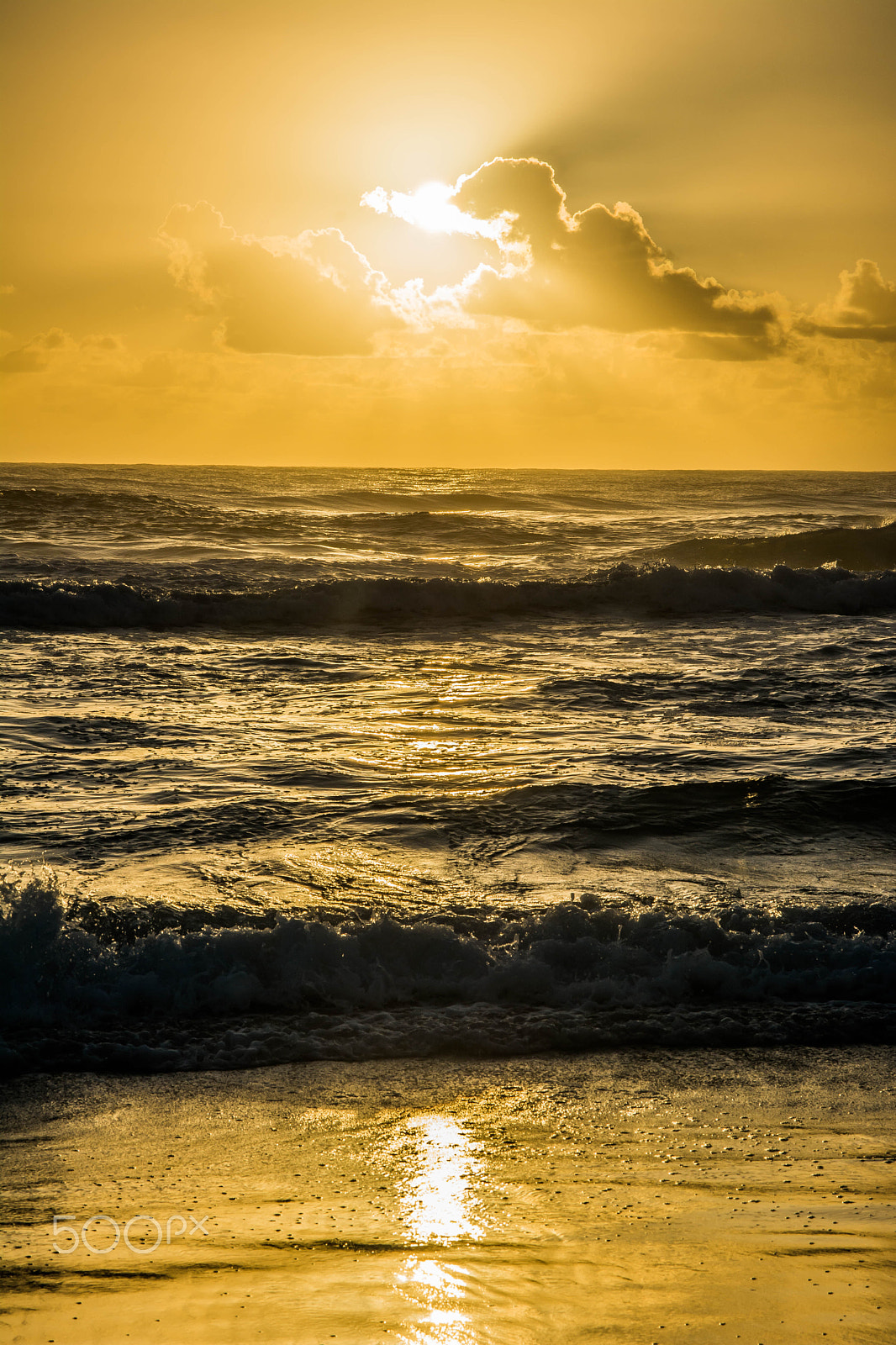 Sigma 17-70mm F2.8-4 DC Macro OS HSM sample photo. Inspired by the ocean ii photography