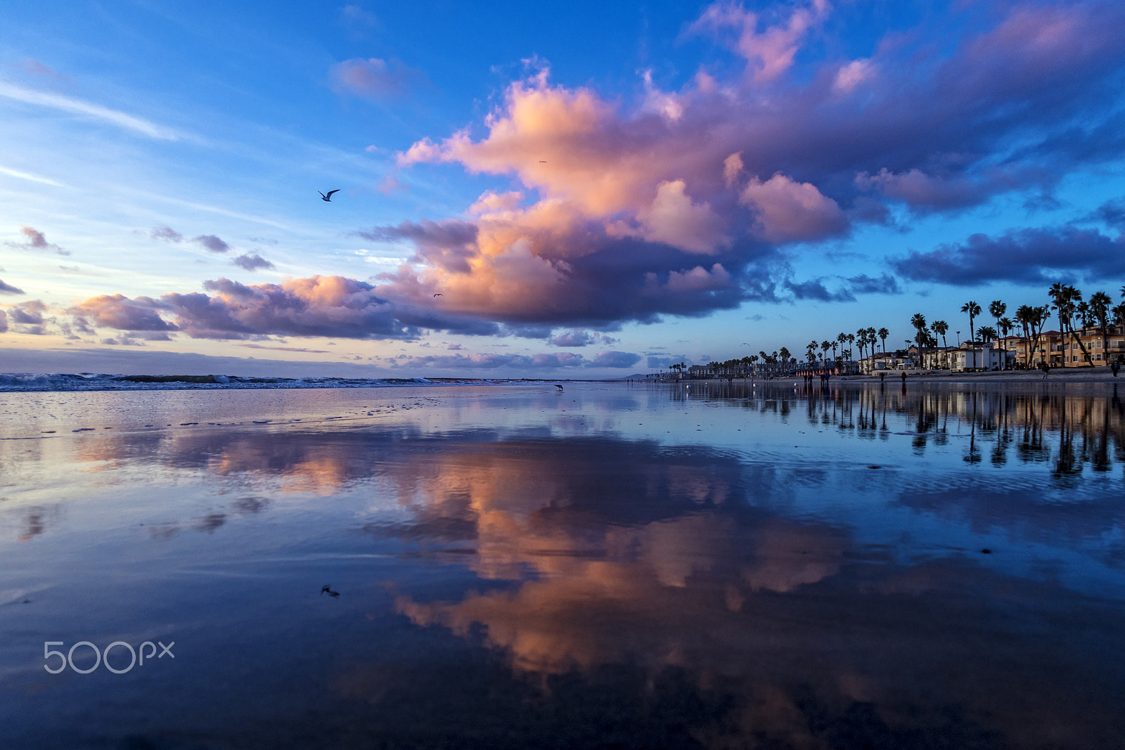 Sigma 15mm F2.8 EX DG Diagonal Fisheye sample photo. Reflections at oceanside - january 1, 2017 photography