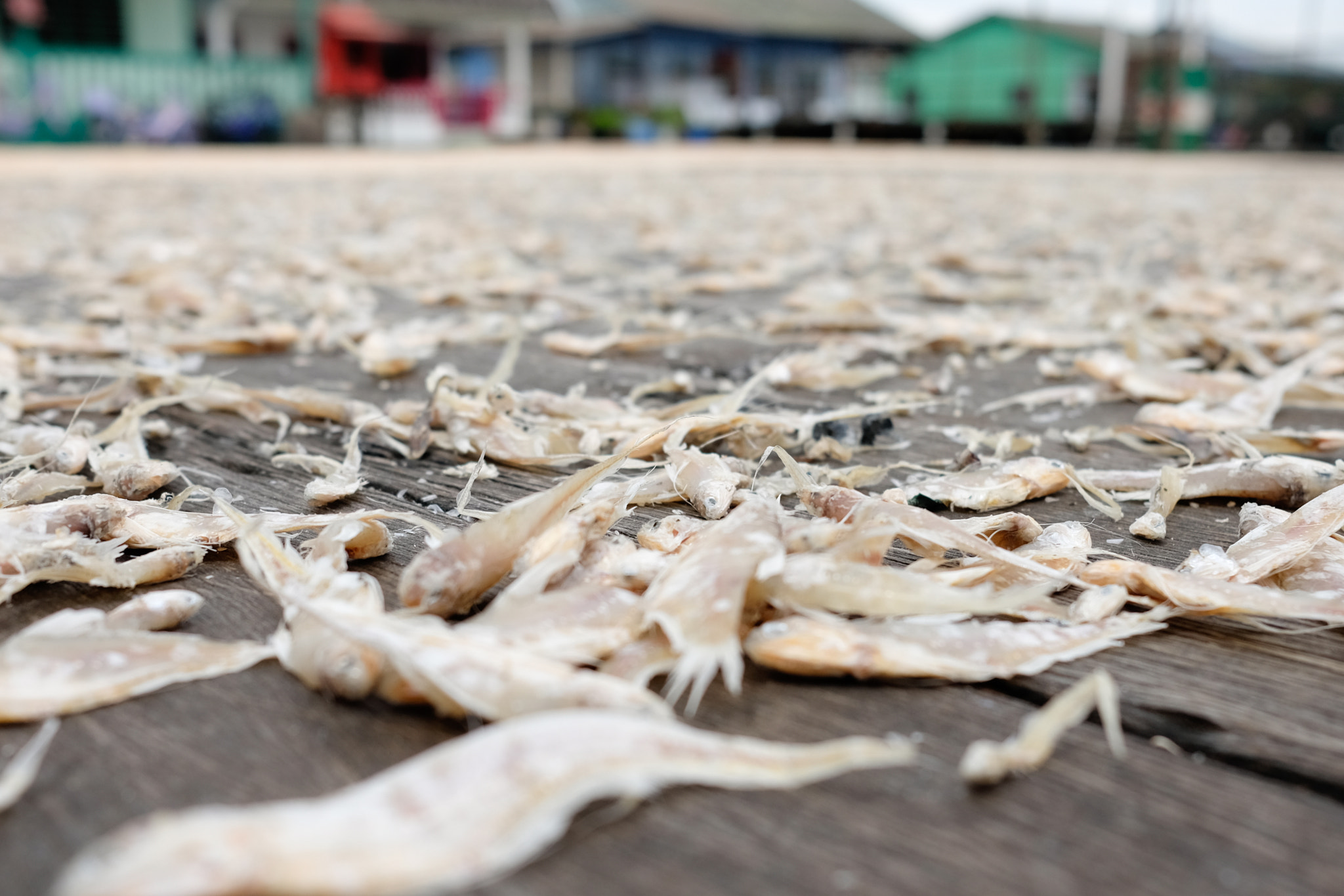 Fujifilm X-T10 + Fujifilm XF 23mm F2 R WR sample photo. Salted fish photography