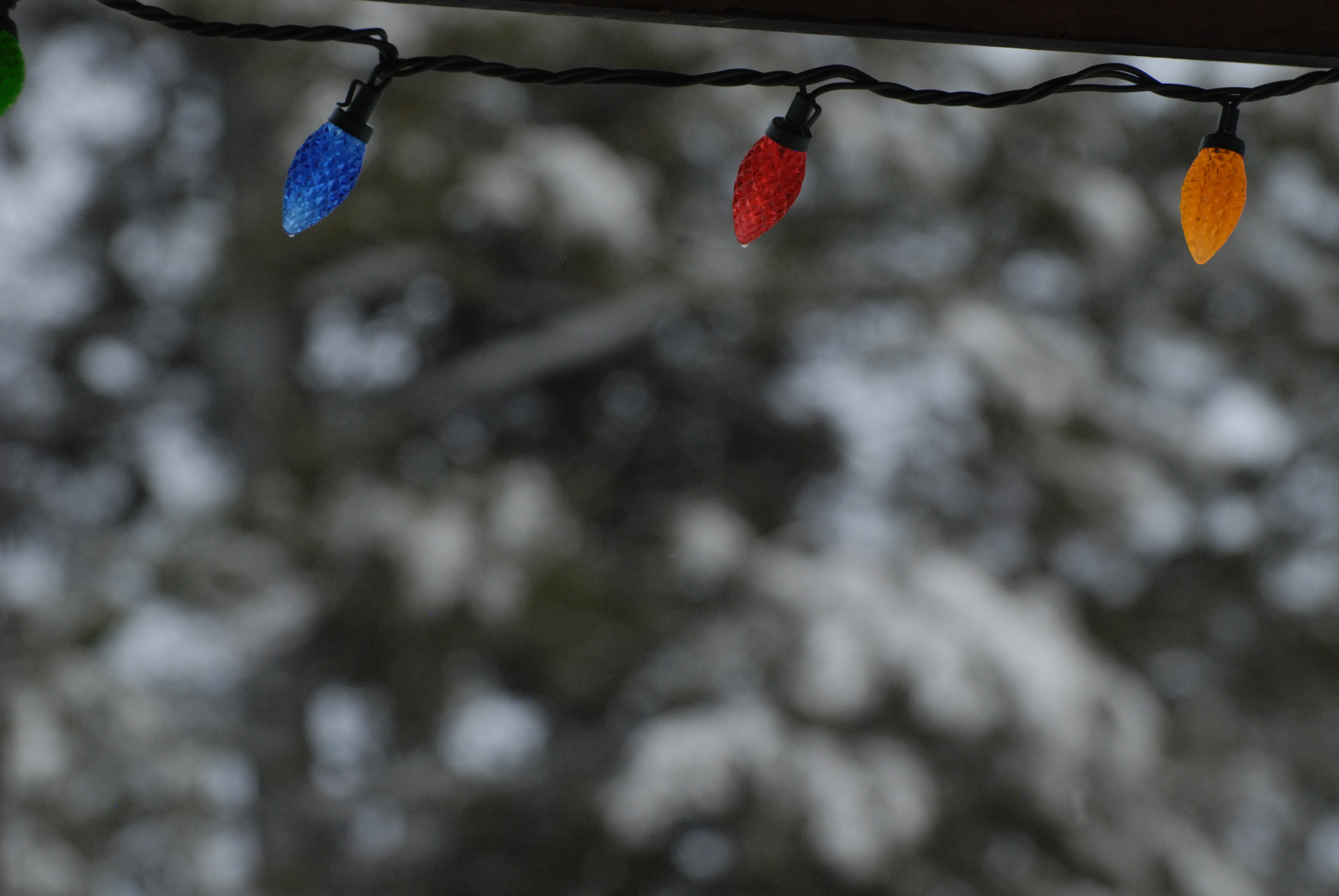 Nikon D80 sample photo. Chrizmiz photography