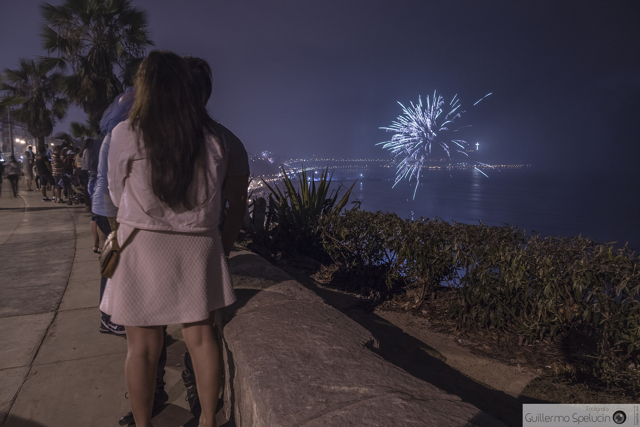 Sony a7R II + Sony DT 18-250mm F3.5-6.3 sample photo. Looking into the new year photography