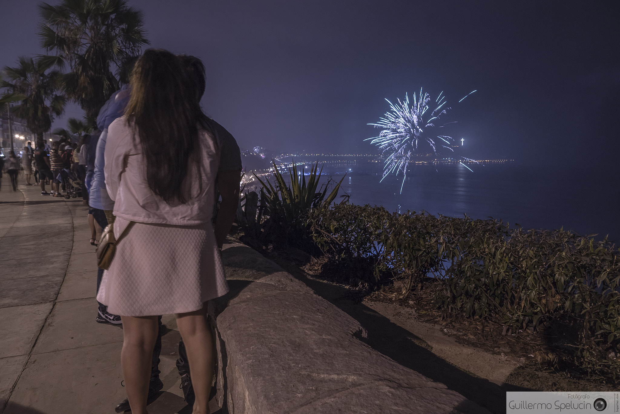 Sony DT 18-250mm F3.5-6.3 sample photo. Looking into the new year photography