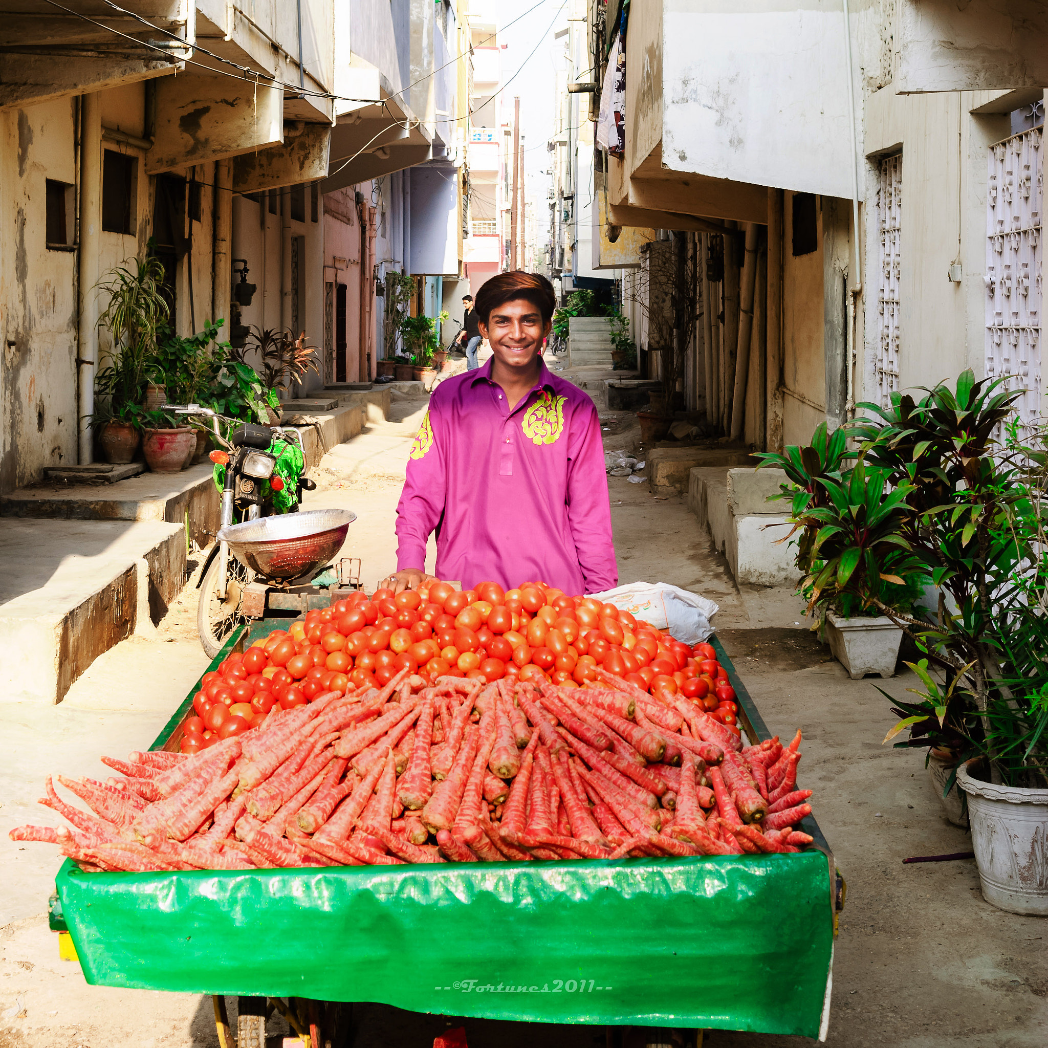 Nikon D80 sample photo. Carrots; tomatoes and a smile photography