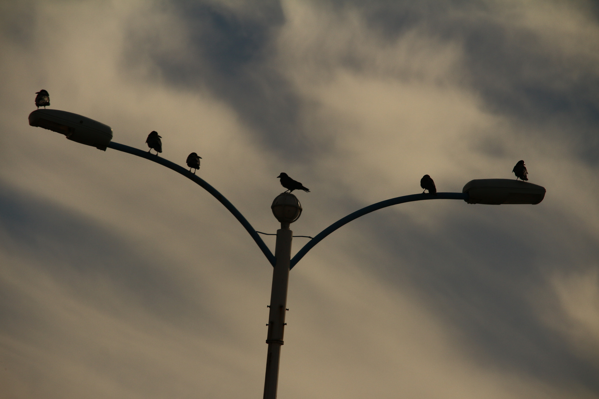 Canon EOS M sample photo