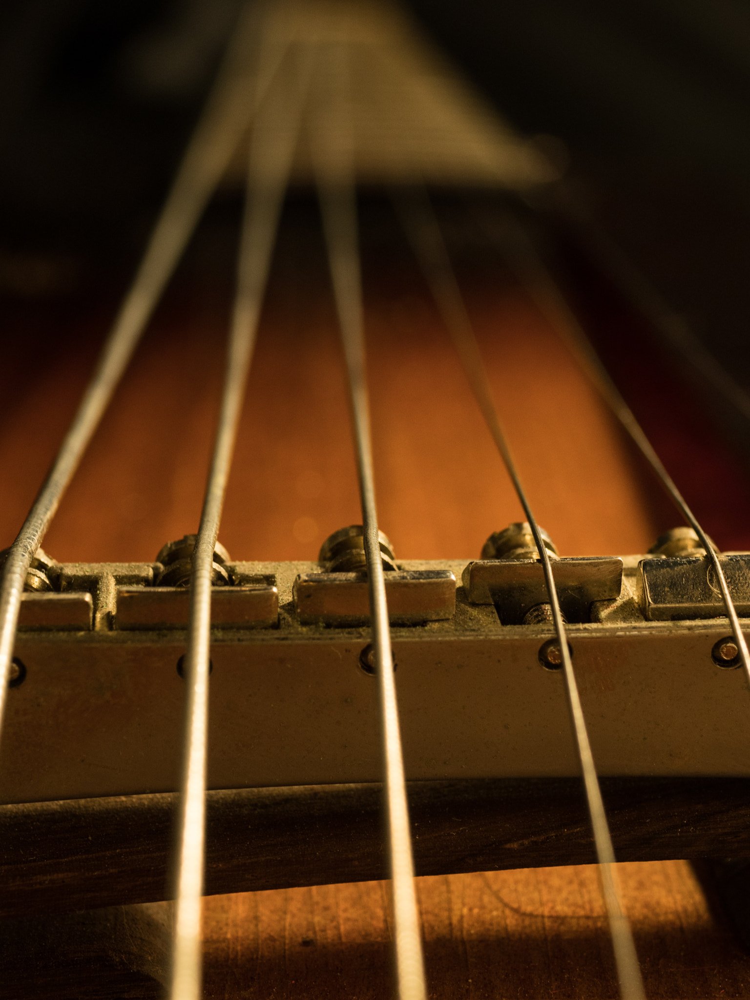 Panasonic Lumix G Macro 30mm F2.8 ASPH Mega OIS sample photo. Vintage 1950's gibson jazz guitar strings photography