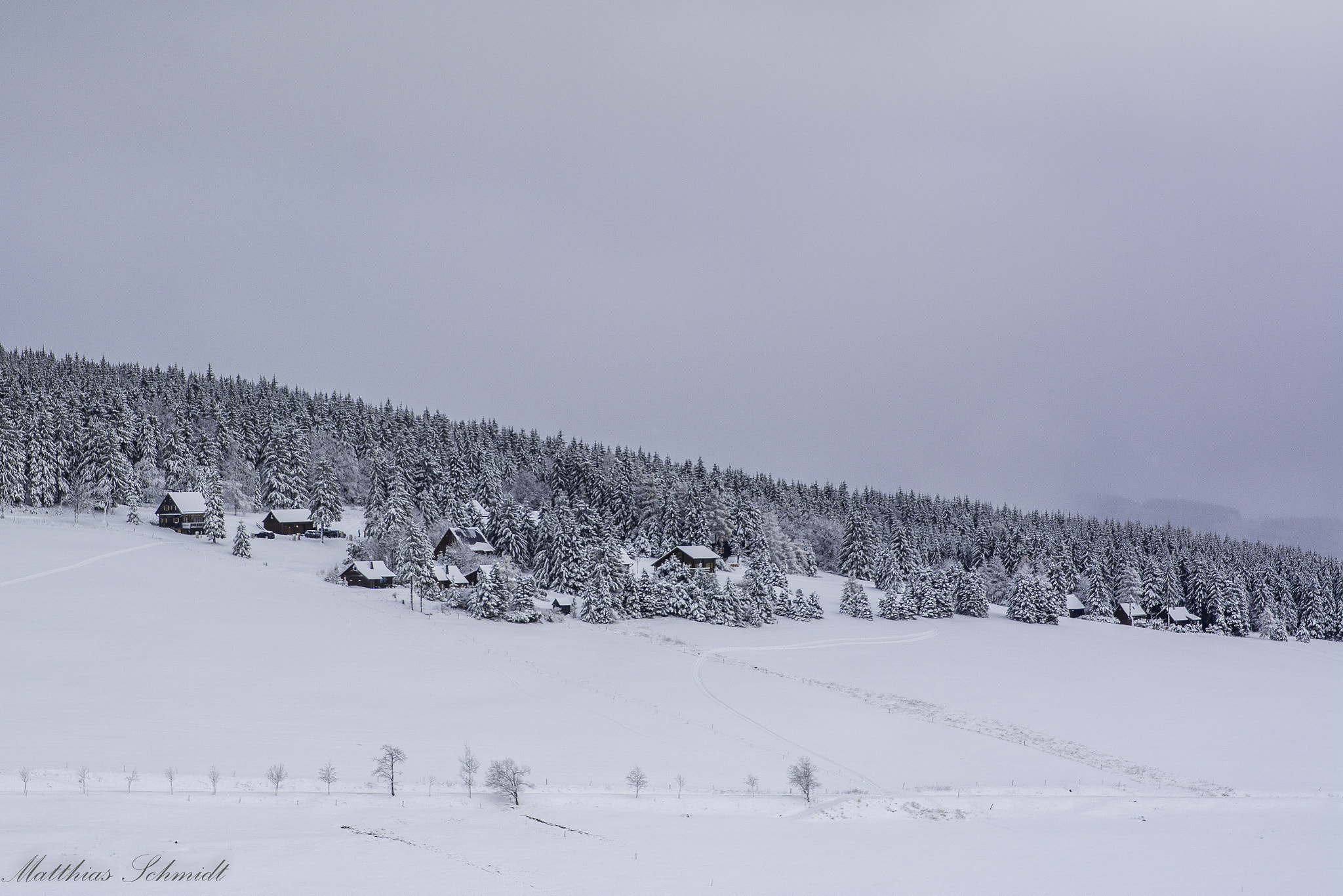 Sigma 24-70mm F2.8 EX DG HSM sample photo. Simple winter photography