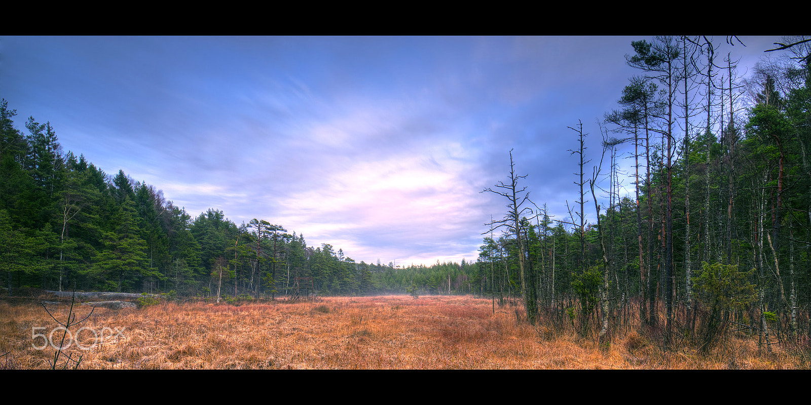 Tamron SP 15-30mm F2.8 Di VC USD sample photo. Outdoors ii... photography