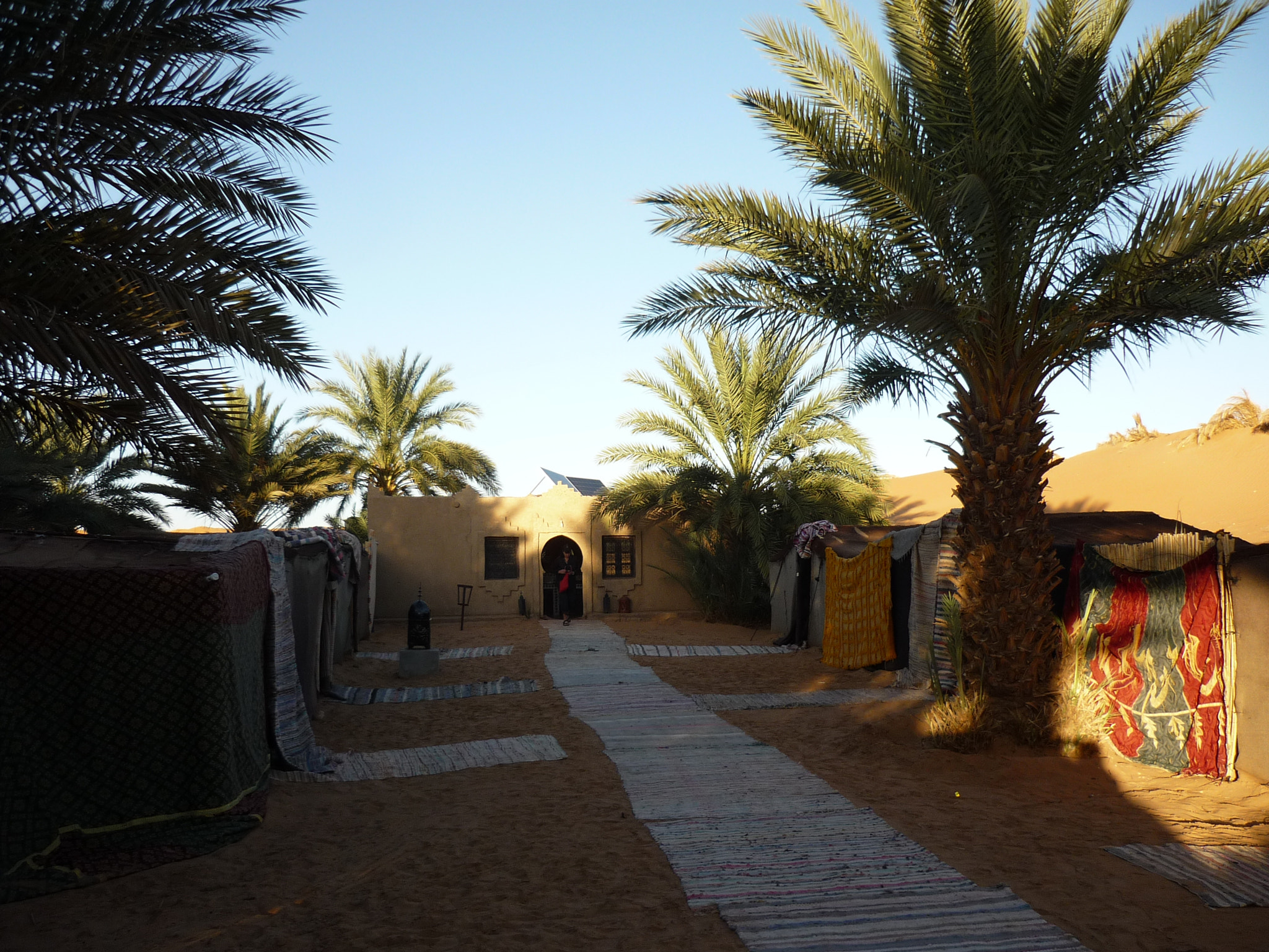 Panasonic Lumix DMC-FS3 sample photo. Sahara garden camp photography