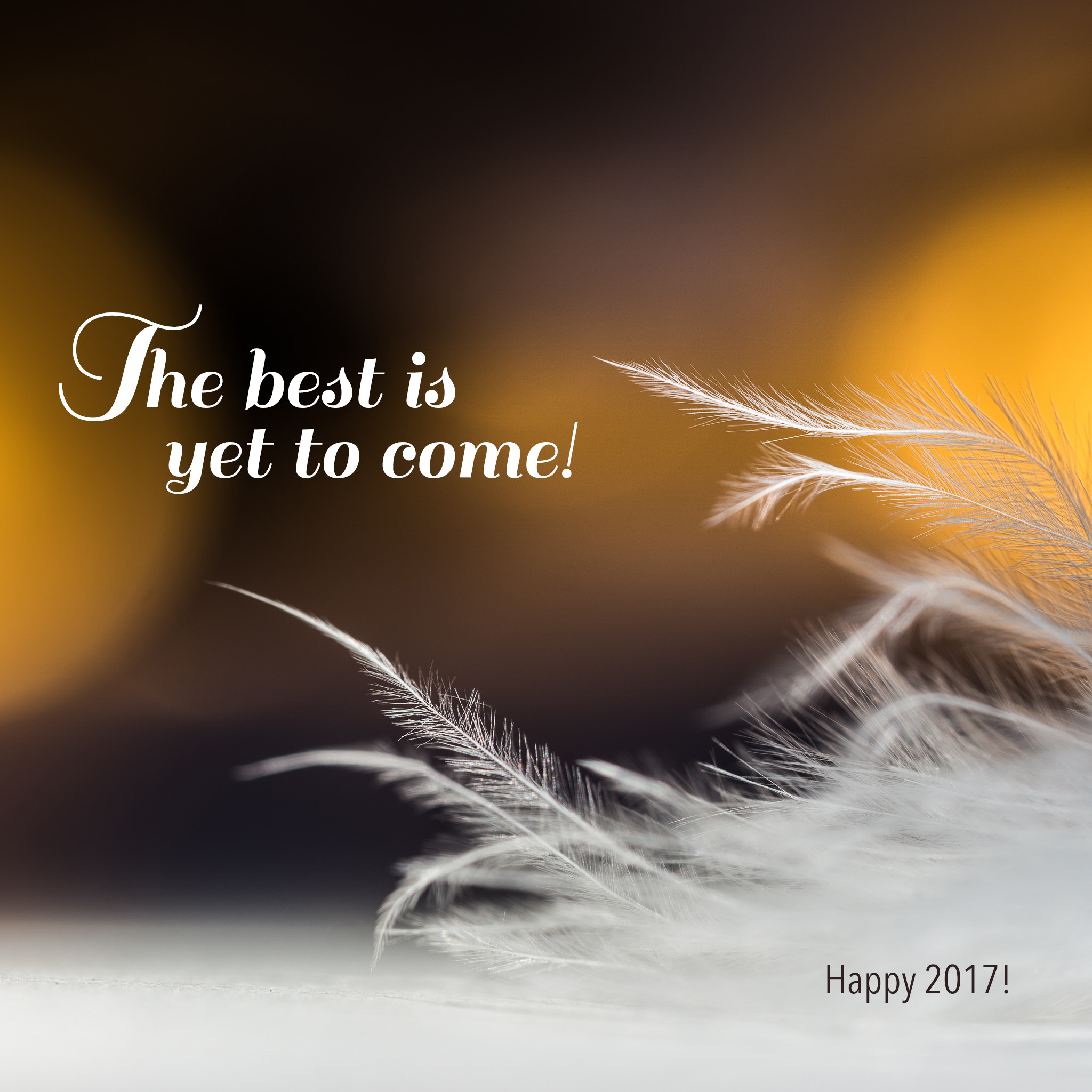 Sony a6000 + Sony FE 90mm F2.8 Macro G OSS sample photo. Happy 2017! photography