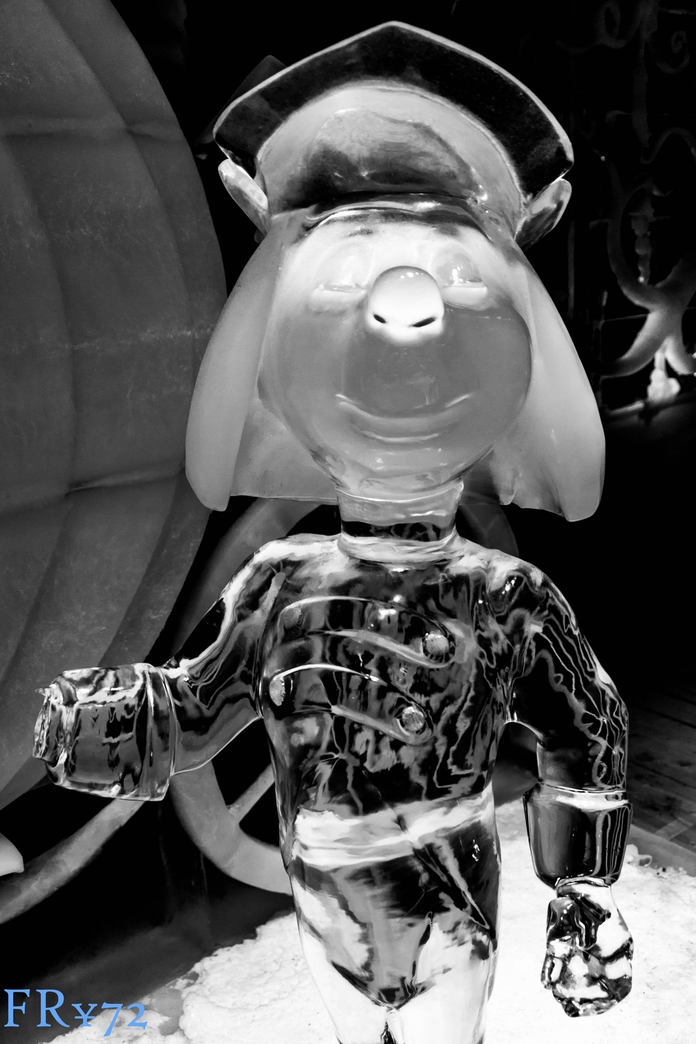 Sony DT 18-200mm F3.5-6.3 sample photo. Soldat de glace photography