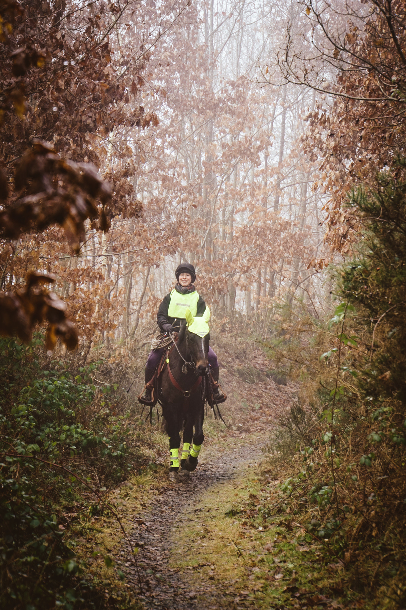 Sony E 18-200mm F3.5-6.3 OSS LE sample photo. Hack on a frosty, foggy winters day. photography