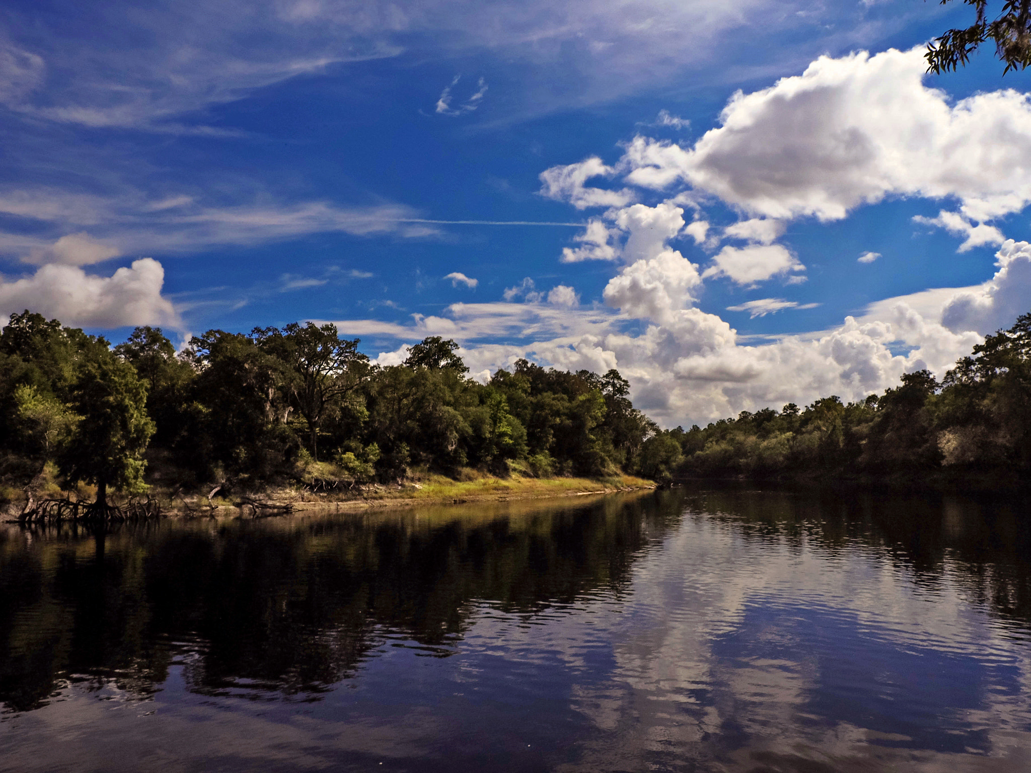Olympus M.Zuiko Digital 14-42mm F3.5-5.6 II R sample photo. Blues on the suwannee photography