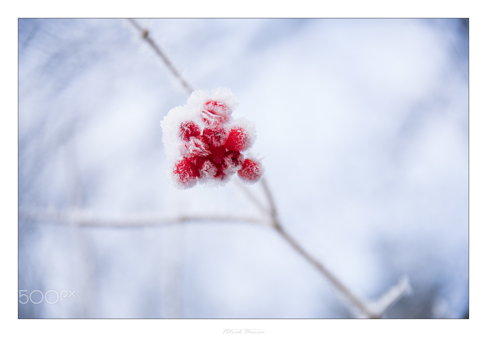 Sony a99 II + Tamron 80-300mm F3.5-6.3 sample photo. Givre 3... photography