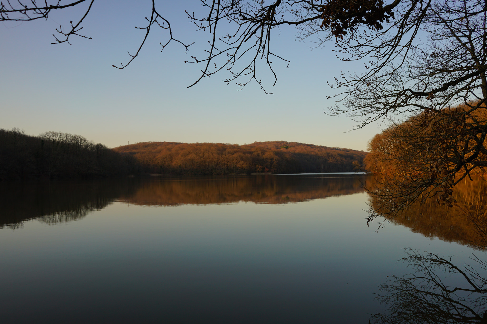 Sony FE 28mm F2 sample photo. Lake and forest photography