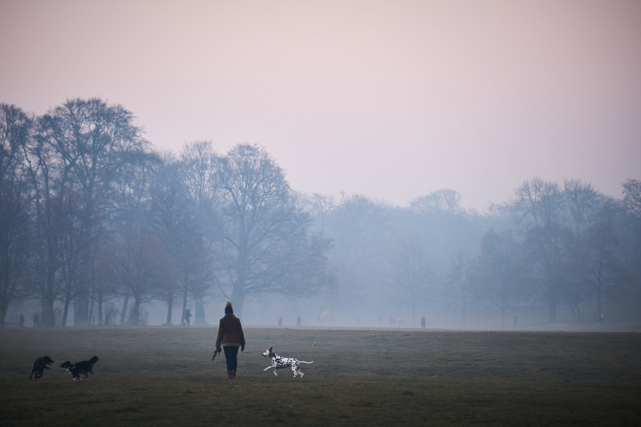 Sony a7R II + Sony Sonnar T* 135mm F1.8 ZA sample photo. Fog of the munhen 2 photography