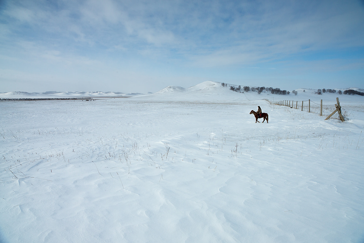Canon EOS-1D X sample photo. X photography