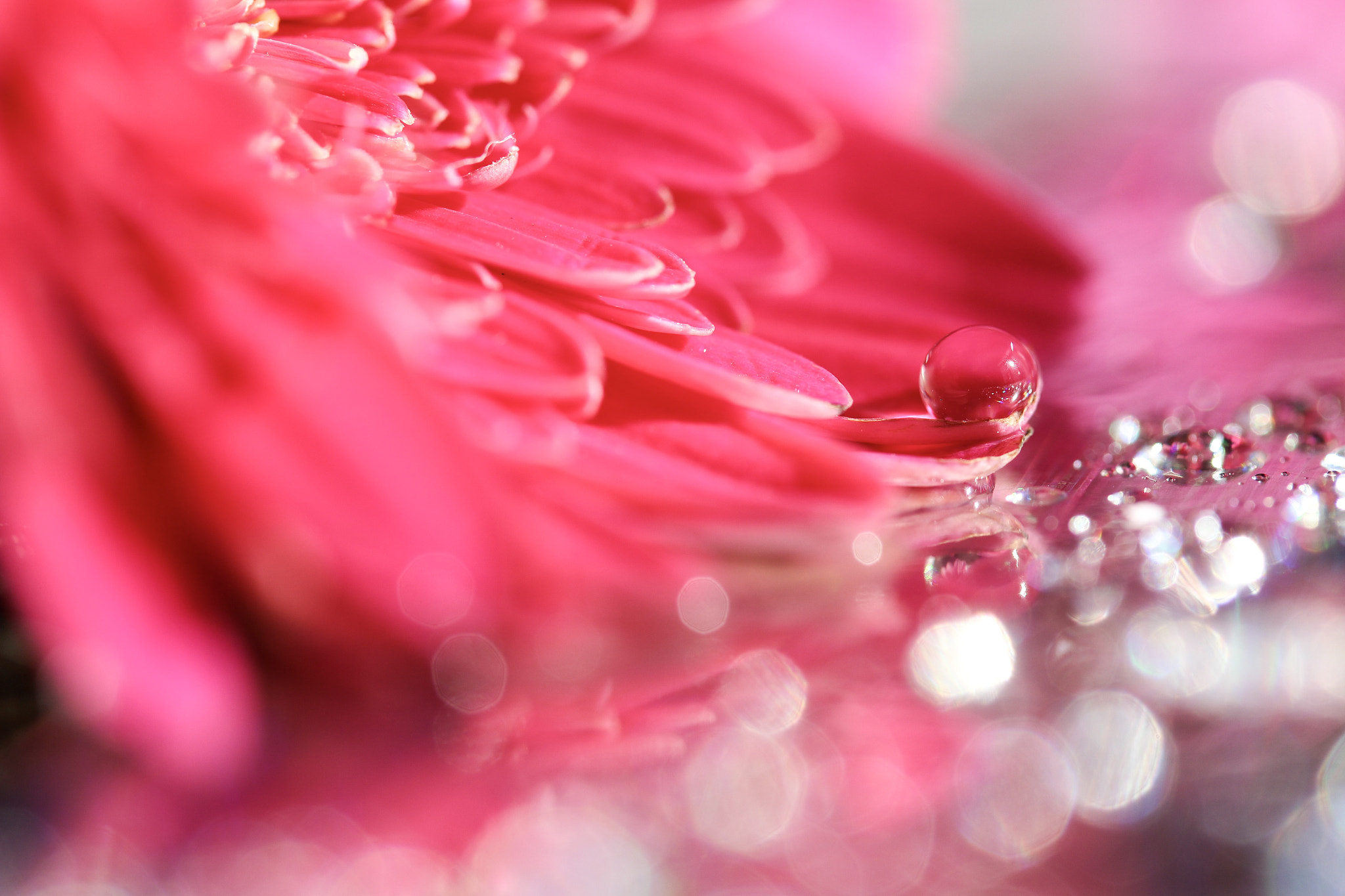 Canon EOS 100D (EOS Rebel SL1 / EOS Kiss X7) sample photo. Fairy's tears photography