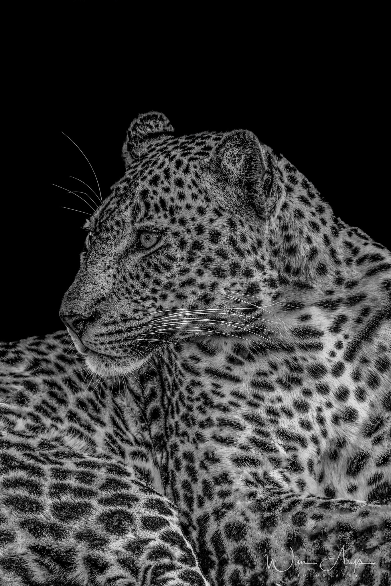Fujifilm X-Pro2 sample photo. Predators and prey in b&w photography
