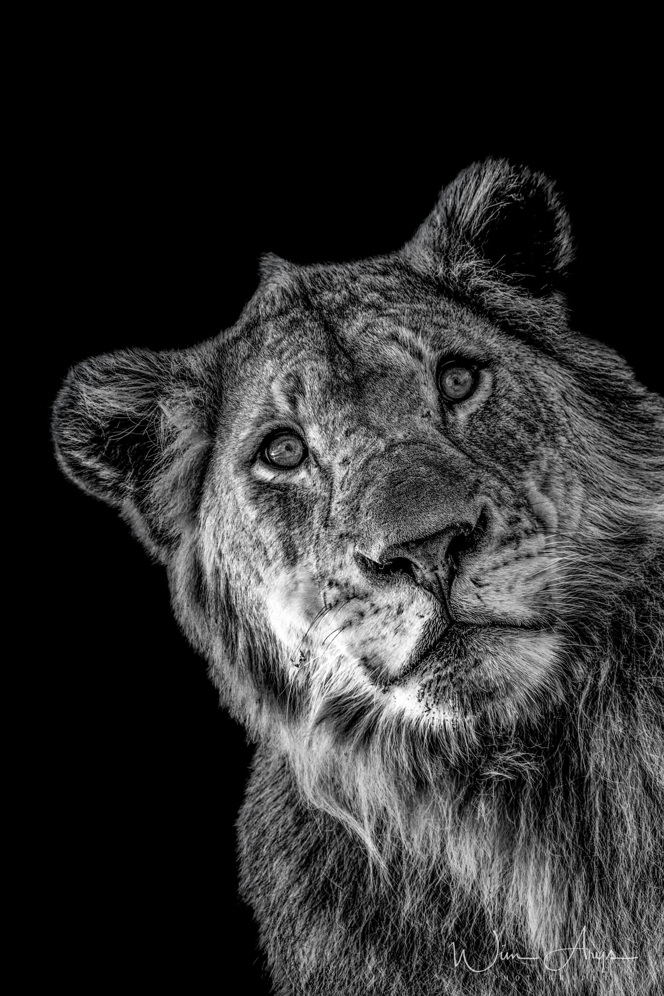 XF100-400mmF4.5-5.6 R LM OIS WR + 1.4x sample photo. Predators and prey in b&w photography