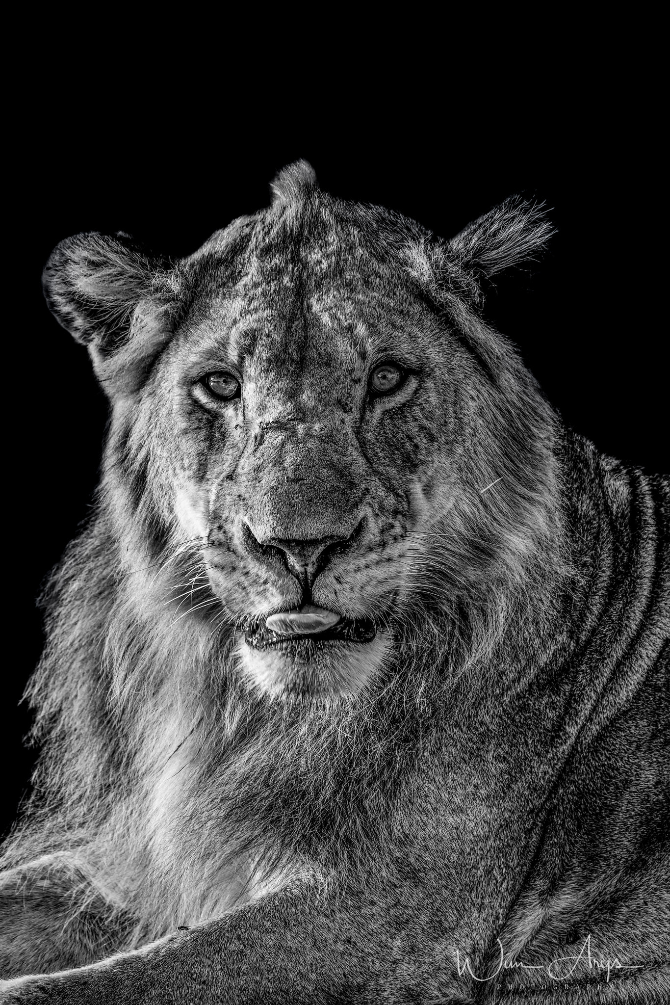 XF100-400mmF4.5-5.6 R LM OIS WR + 1.4x sample photo. Predators and prey in b&w photography