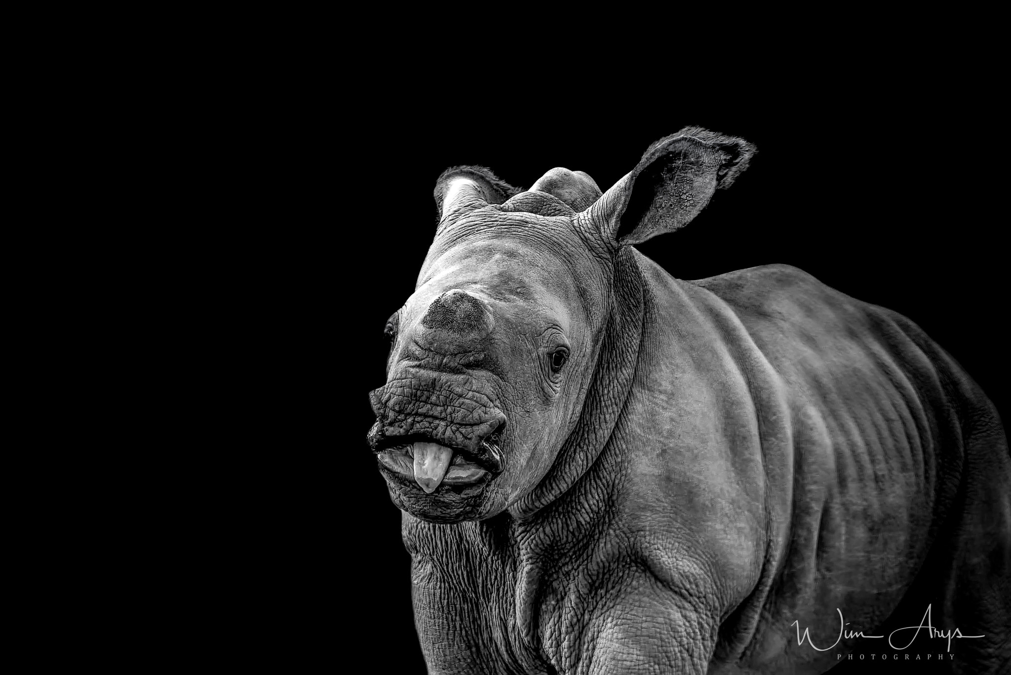 XF100-400mmF4.5-5.6 R LM OIS WR + 1.4x sample photo. Predators and prey in b&w photography