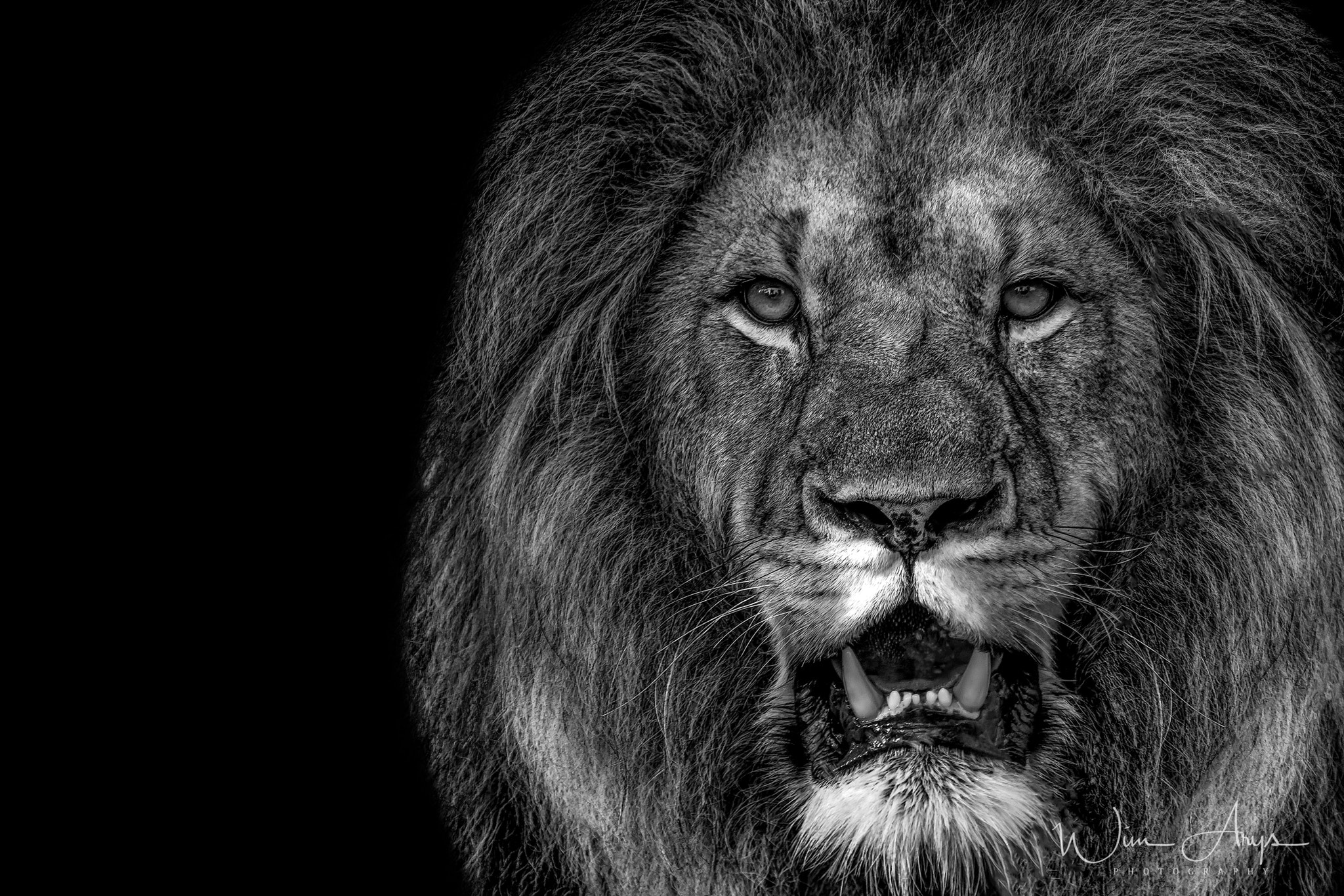 XF100-400mmF4.5-5.6 R LM OIS WR + 1.4x sample photo. Predators and prey in b&w photography