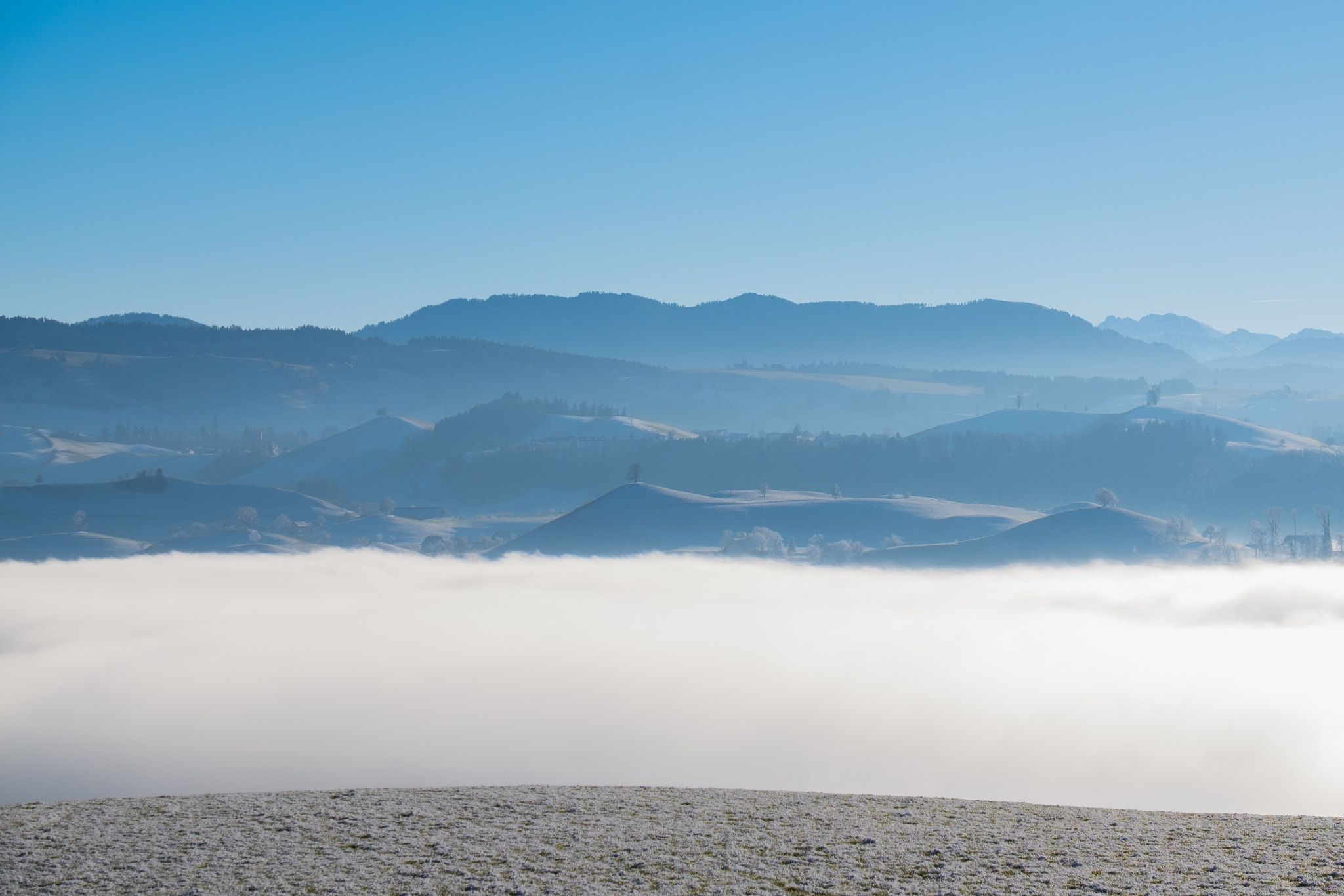 Fujifilm X-T10 + Fujifilm XF 18-135mm F3.5-5.6 R LM OIS WR sample photo. Fog photography