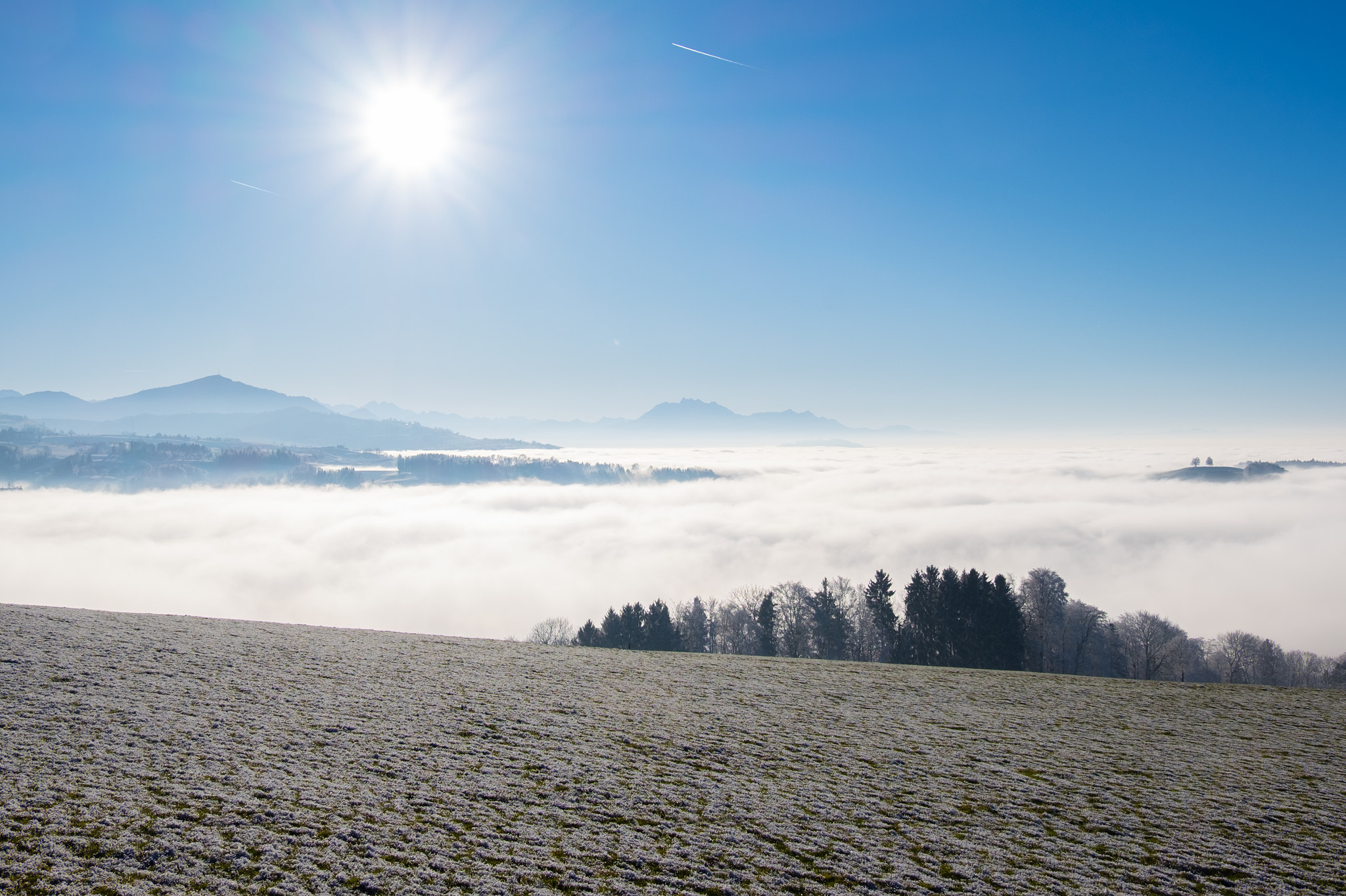 Fujifilm X-T10 + Fujifilm XF 18-135mm F3.5-5.6 R LM OIS WR sample photo. Fog photography