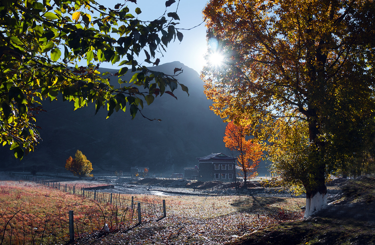 Sony E 16-50mm F3.5-5.6 PZ OSS sample photo. Autumn morning photography