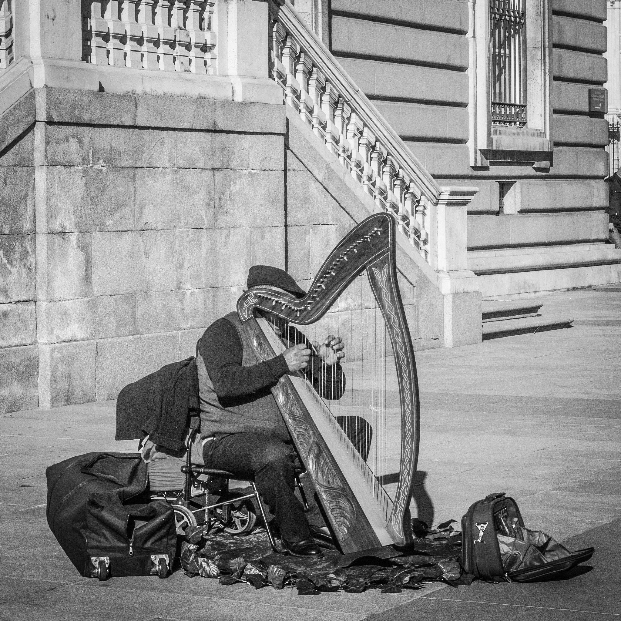 Olympus PEN-F + Olympus M.Zuiko Digital ED 12-40mm F2.8 Pro sample photo. The homeless harpist photography