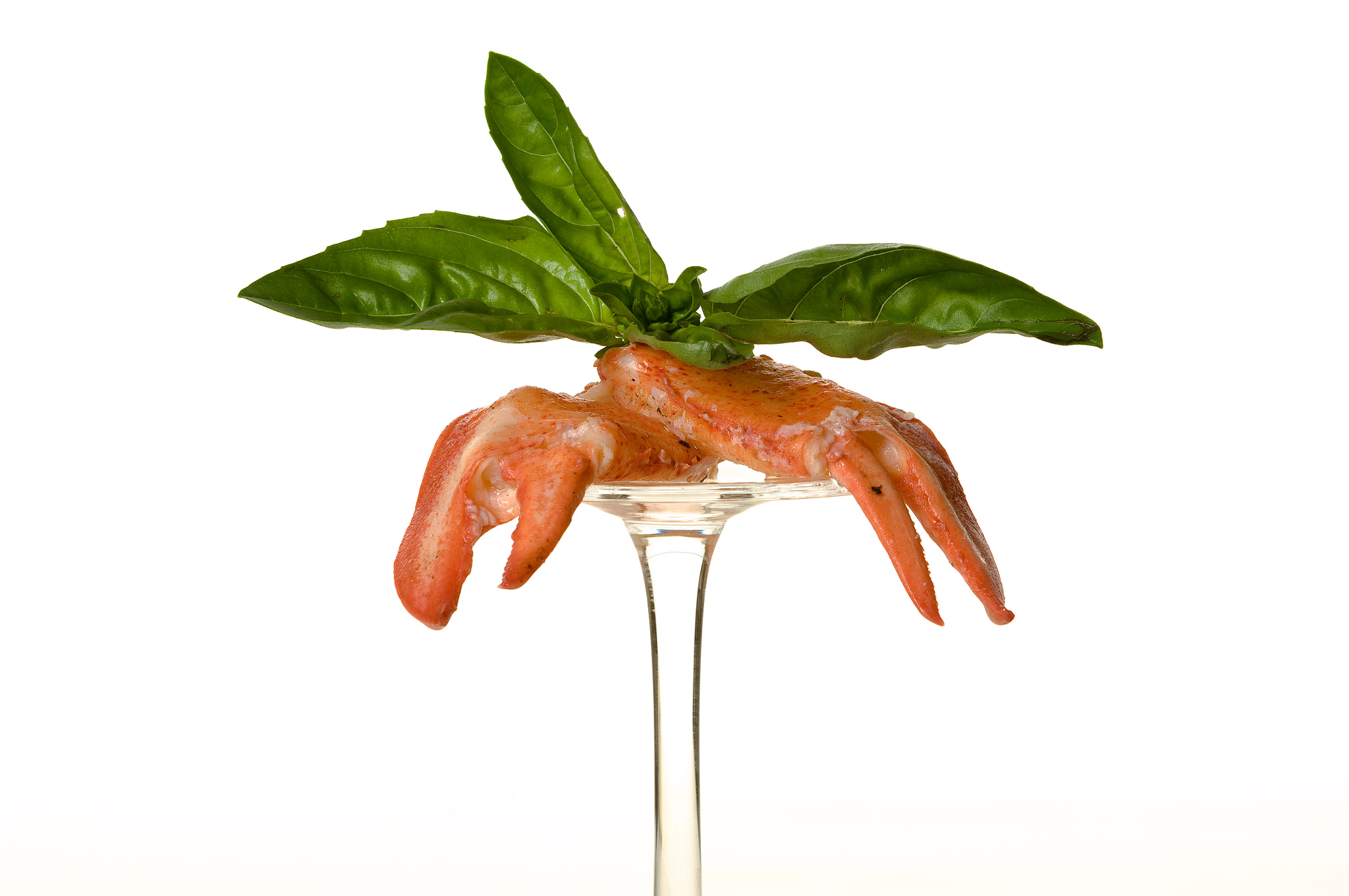 Nikon D2X sample photo. Lobster egs and basil photography
