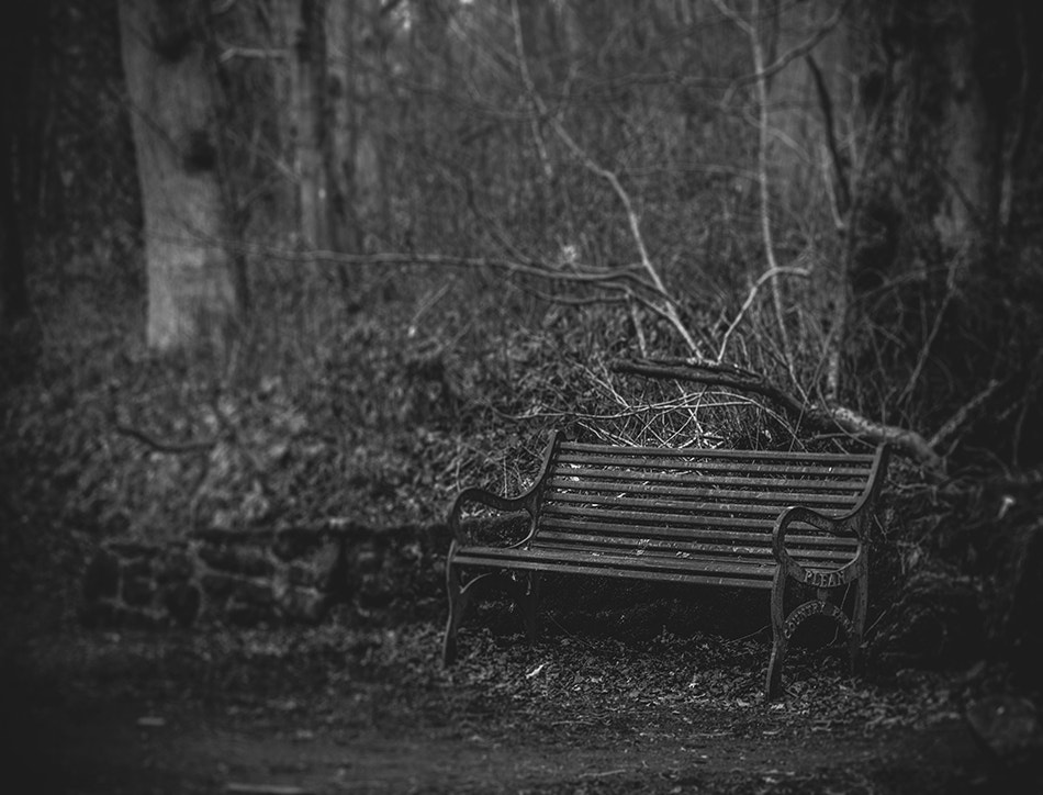 Canon EOS 50D + Canon EF 70-200mm F4L USM sample photo. ........ photography
