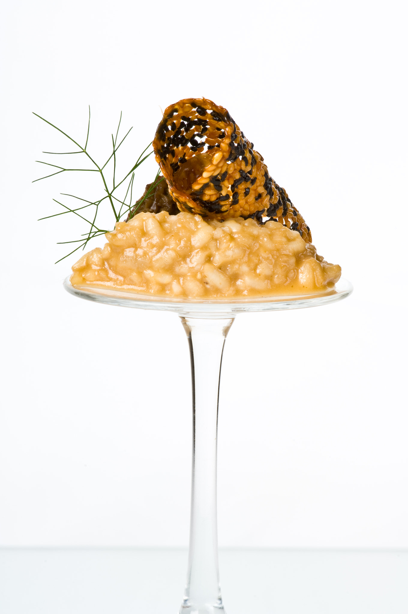 Nikon D2X + Nikon AF-S Micro-Nikkor 105mm F2.8G IF-ED VR sample photo. Entree with risotto and sesame photography