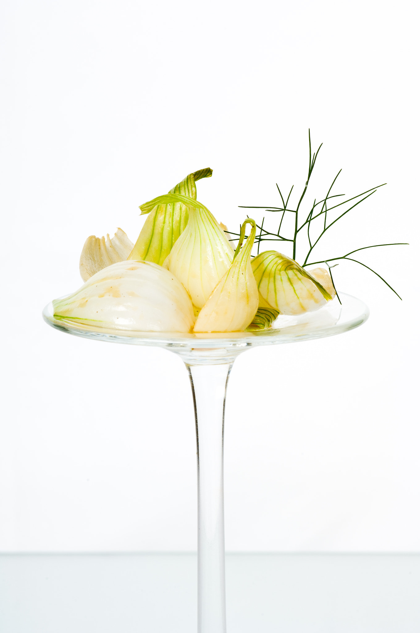Nikon D2X sample photo. Entree with onions and celery photography