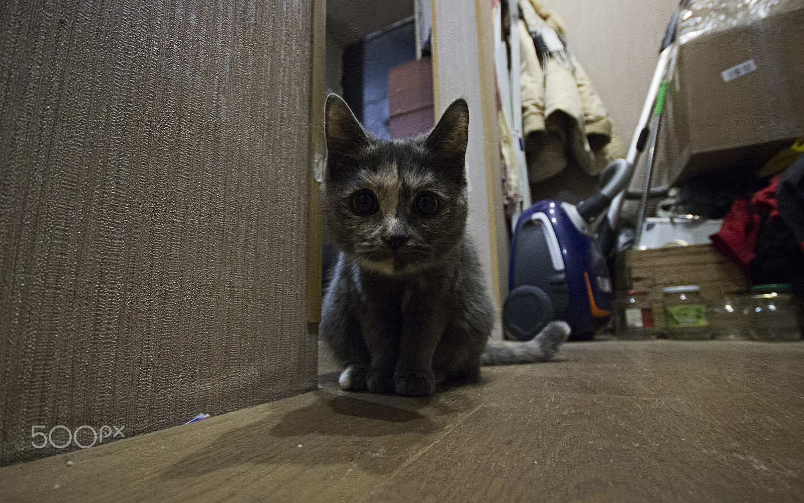 Sigma 10-20mm F4-5.6 EX DC HSM sample photo. Imggg photography