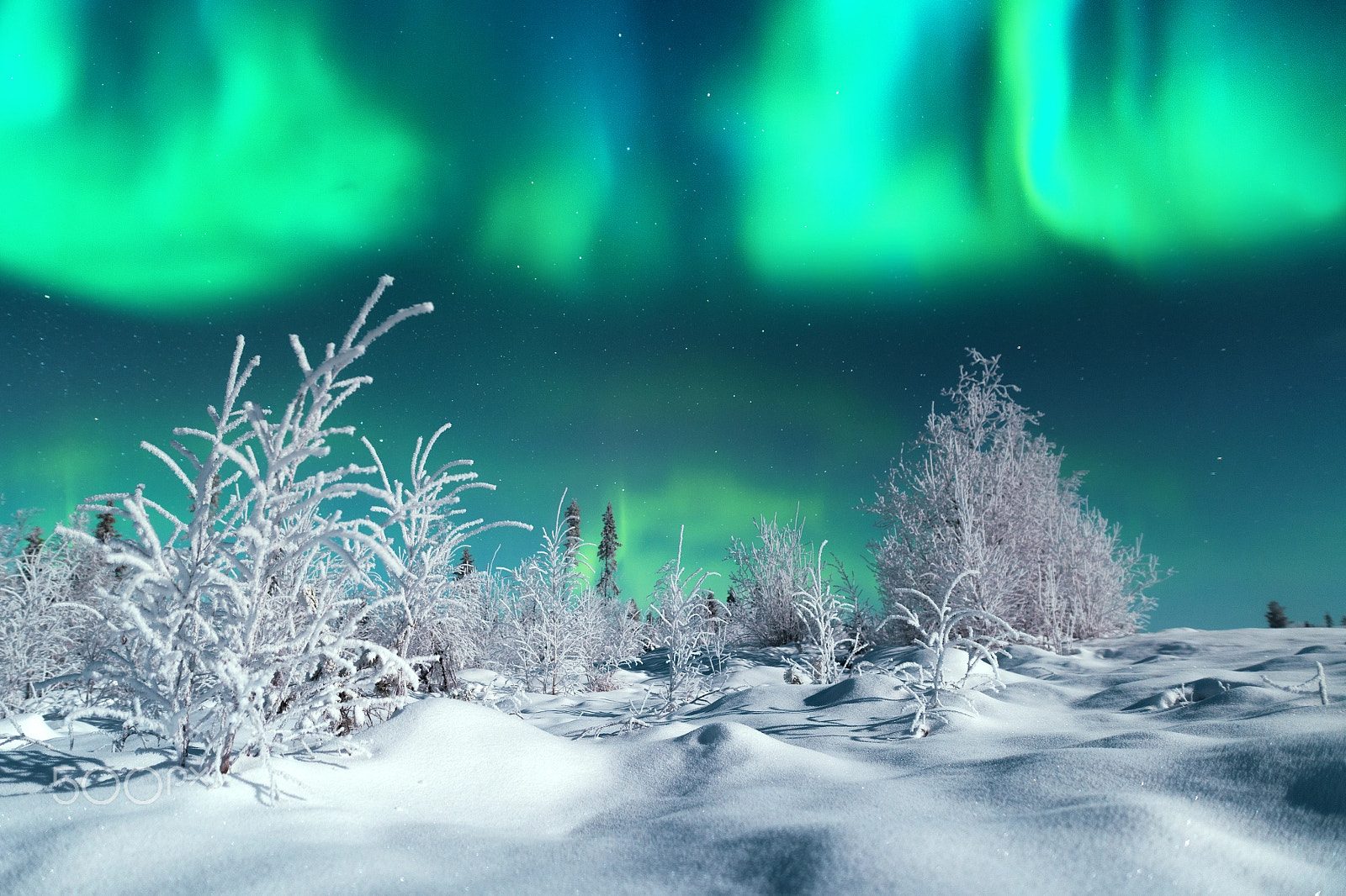 Sony a7R II + Sigma 20mm F1.4 DG HSM Art sample photo. Moonlight shines over swedish winter wonderland photography