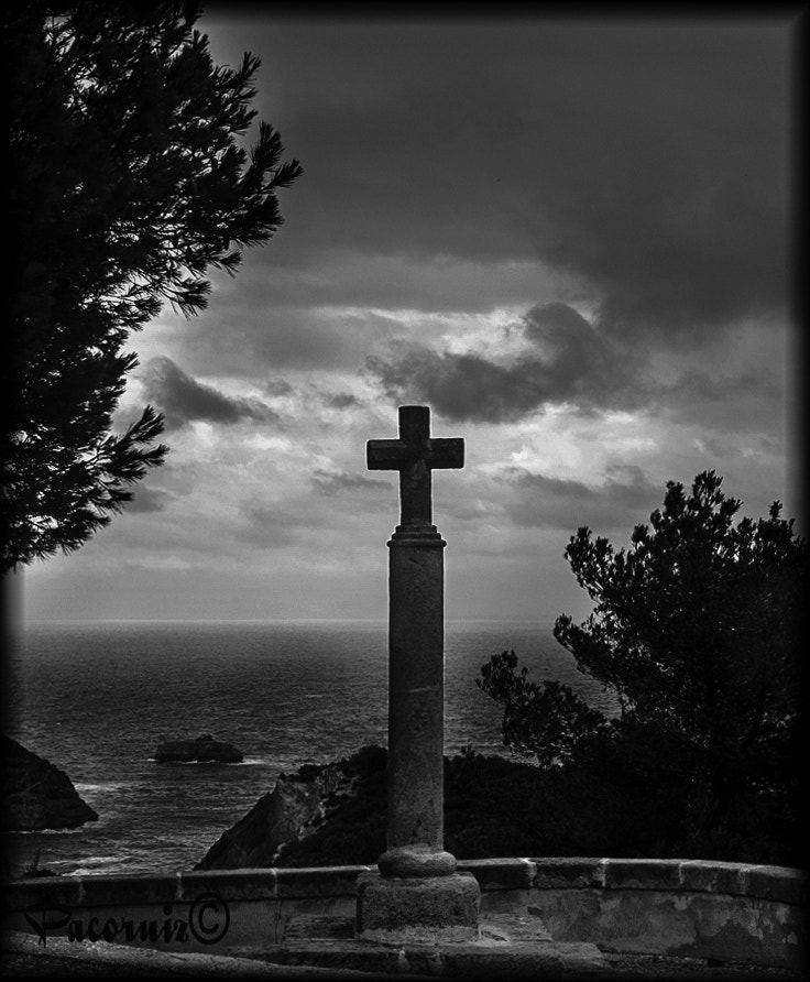 OLYMPUS 18mm-180mm Lens sample photo. Mirador del portixol photography