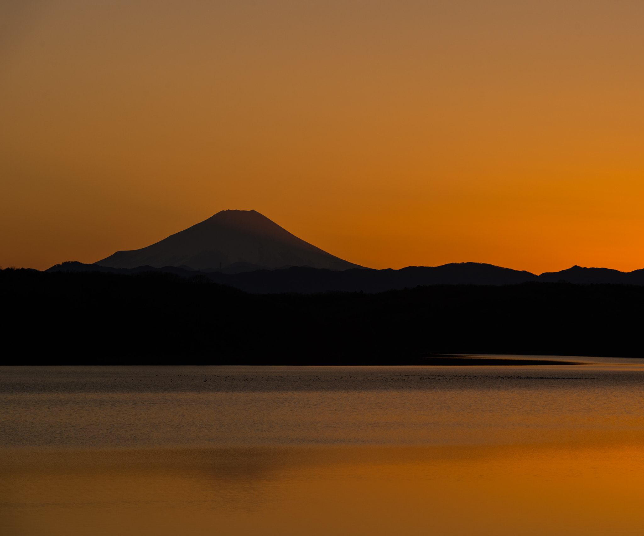 Nikon Df sample photo. New year photography