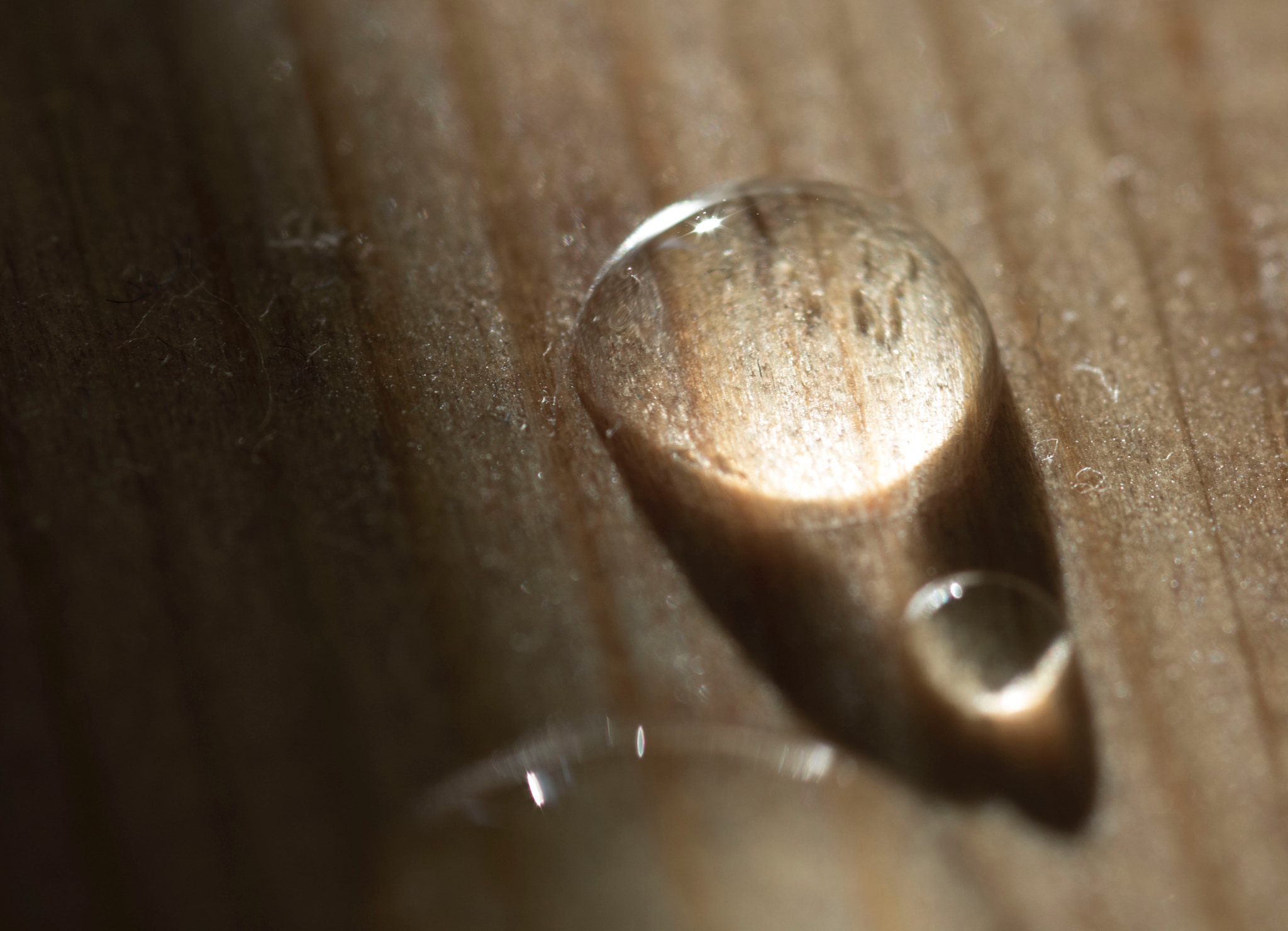 Canon EOS 750D (EOS Rebel T6i / EOS Kiss X8i) + Sigma 105mm F2.8 EX DG Macro sample photo. Waterdrops on dusty wood photography